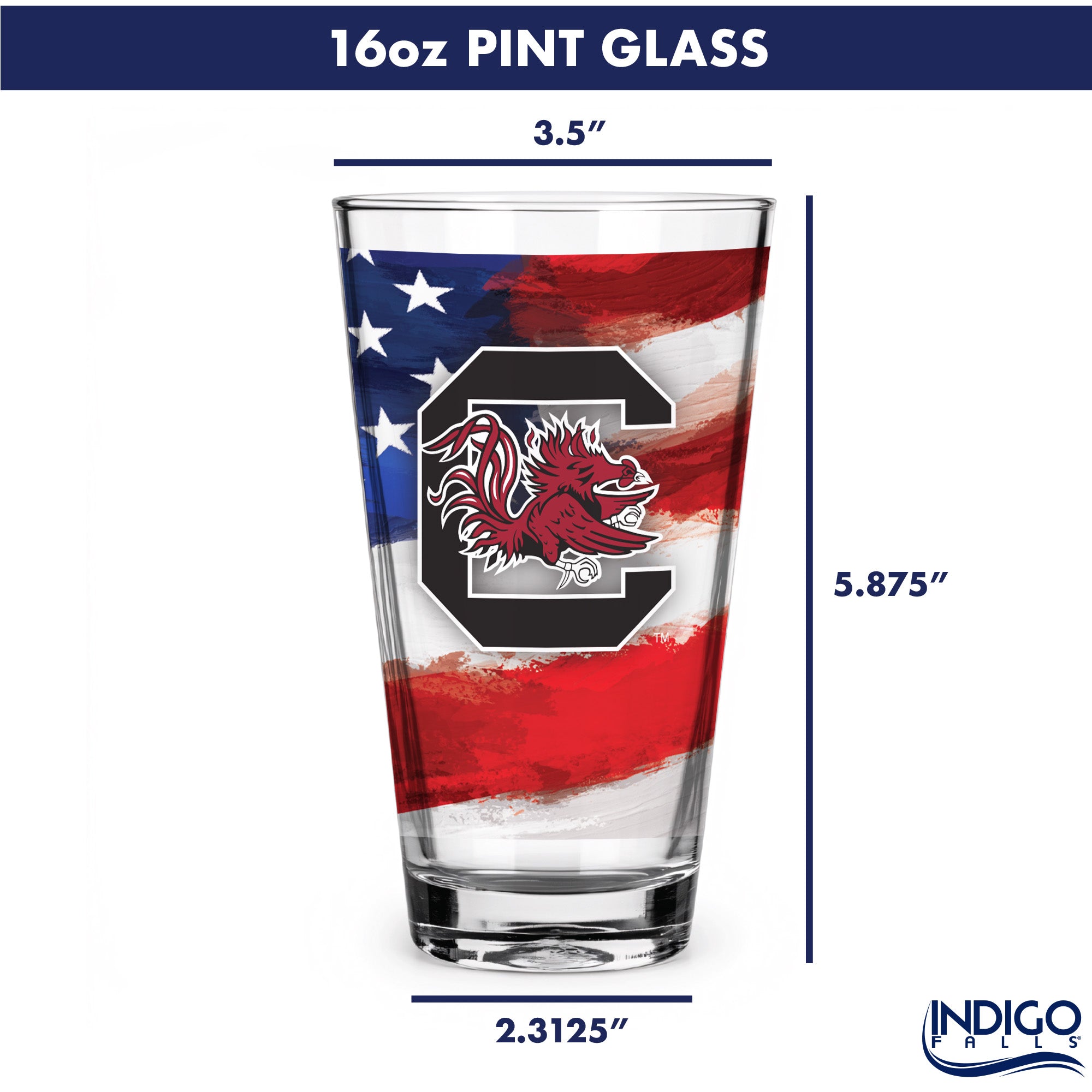 Set of 2 South Carolina Gamecocks 16oz Americana Pints