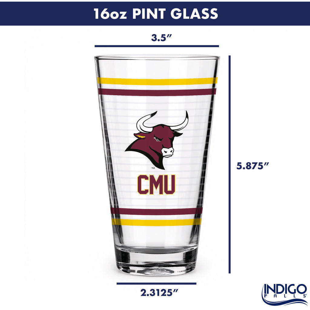 Set of 2 Colorado Mesa Mavericks 16oz Ring Pints