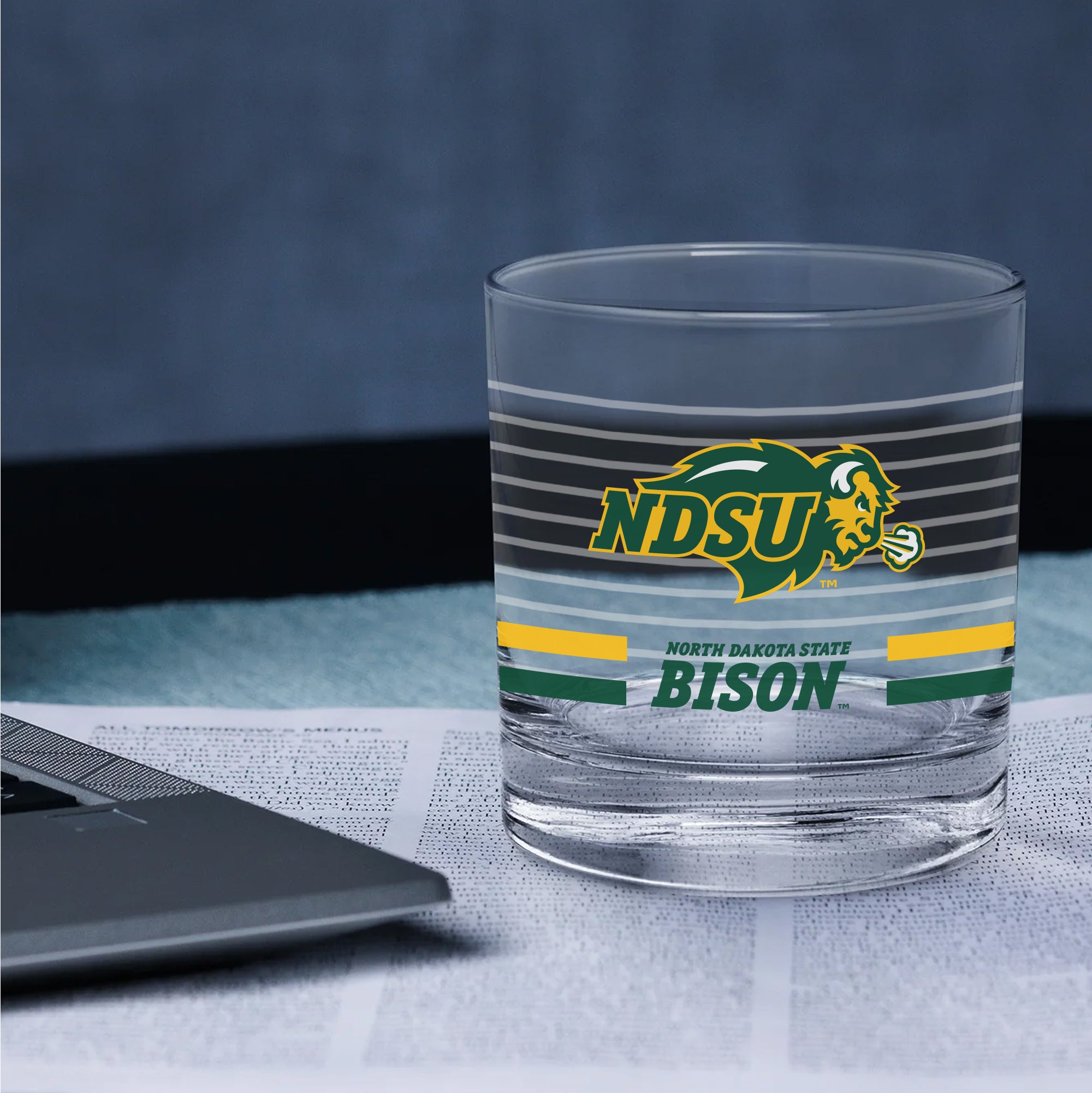 Set of 2 North Dakota State Bisons 14oz Ring Rocks Glasses