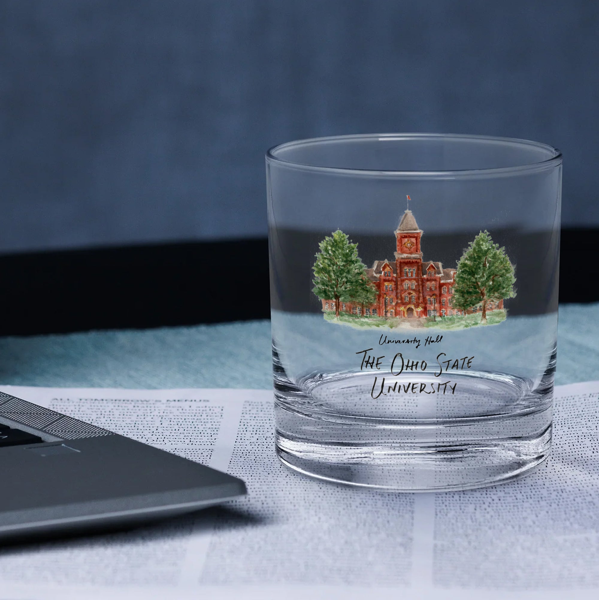 14oz Ohio State Buckeyes Laura Wilcox University Collection 2-Pack Glass Set