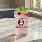 Set of 2 Florida State Seminoles 16oz XD Ring Can Glasses