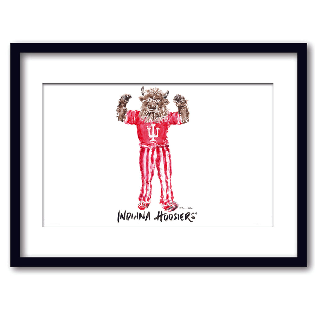 Indiana Hoosiers Mascot by Laura Wilcox, Framed Watercolor Wall Art 11" x 14"