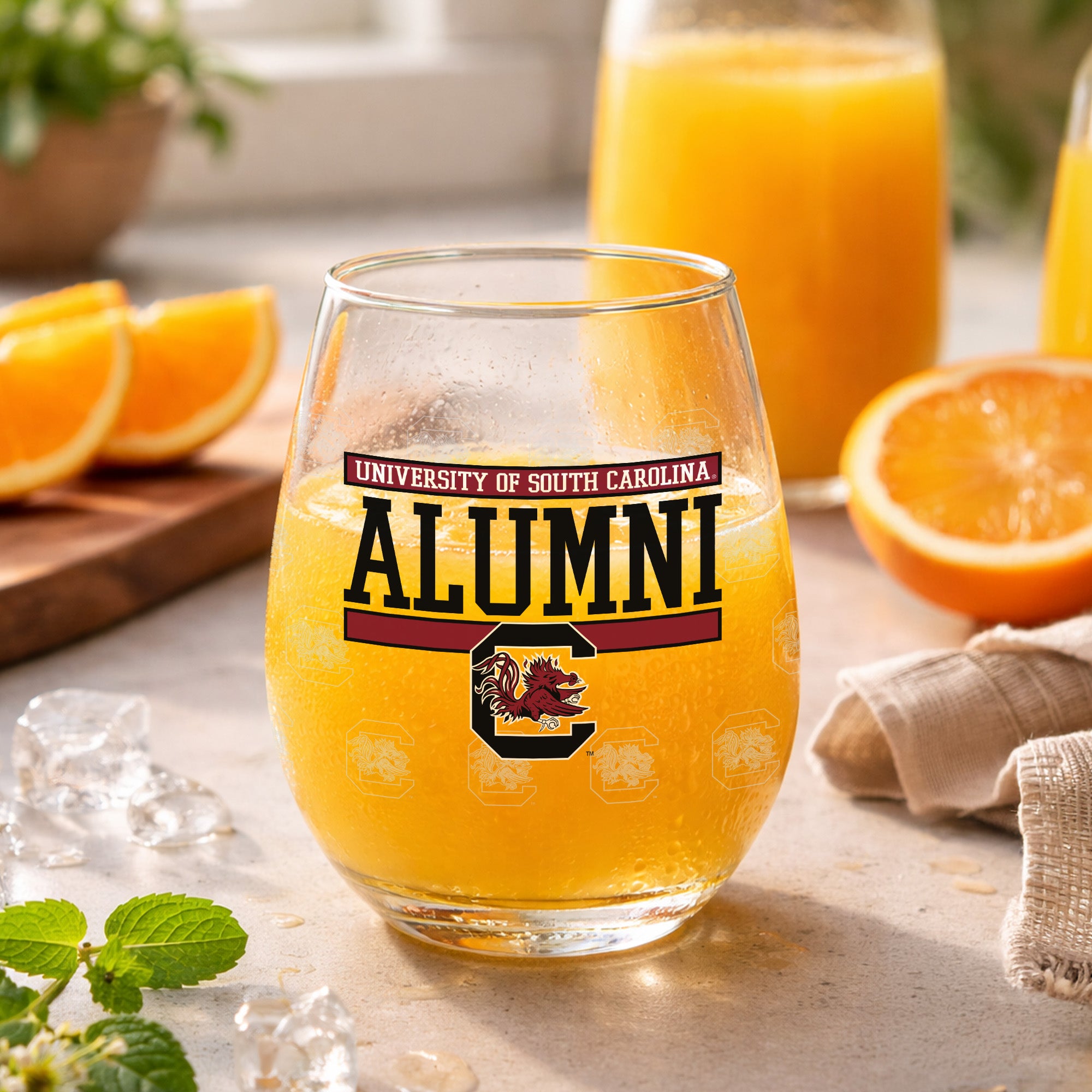 Set of 2 South Carolina Gamecocks Alumni 15oz Stemless