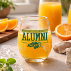 Set of 2 North Dakota State Bisons Alumni 15oz Stemless
