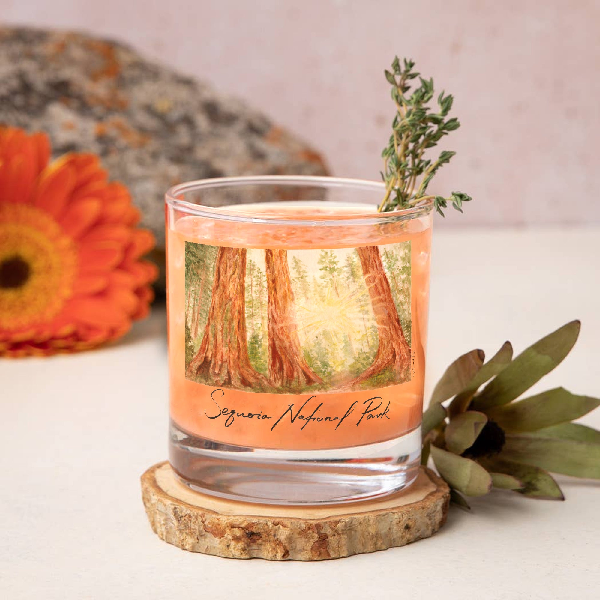 14oz Sequoia National Park 2-Pack Rock Glass Set by Laura Wilcox
