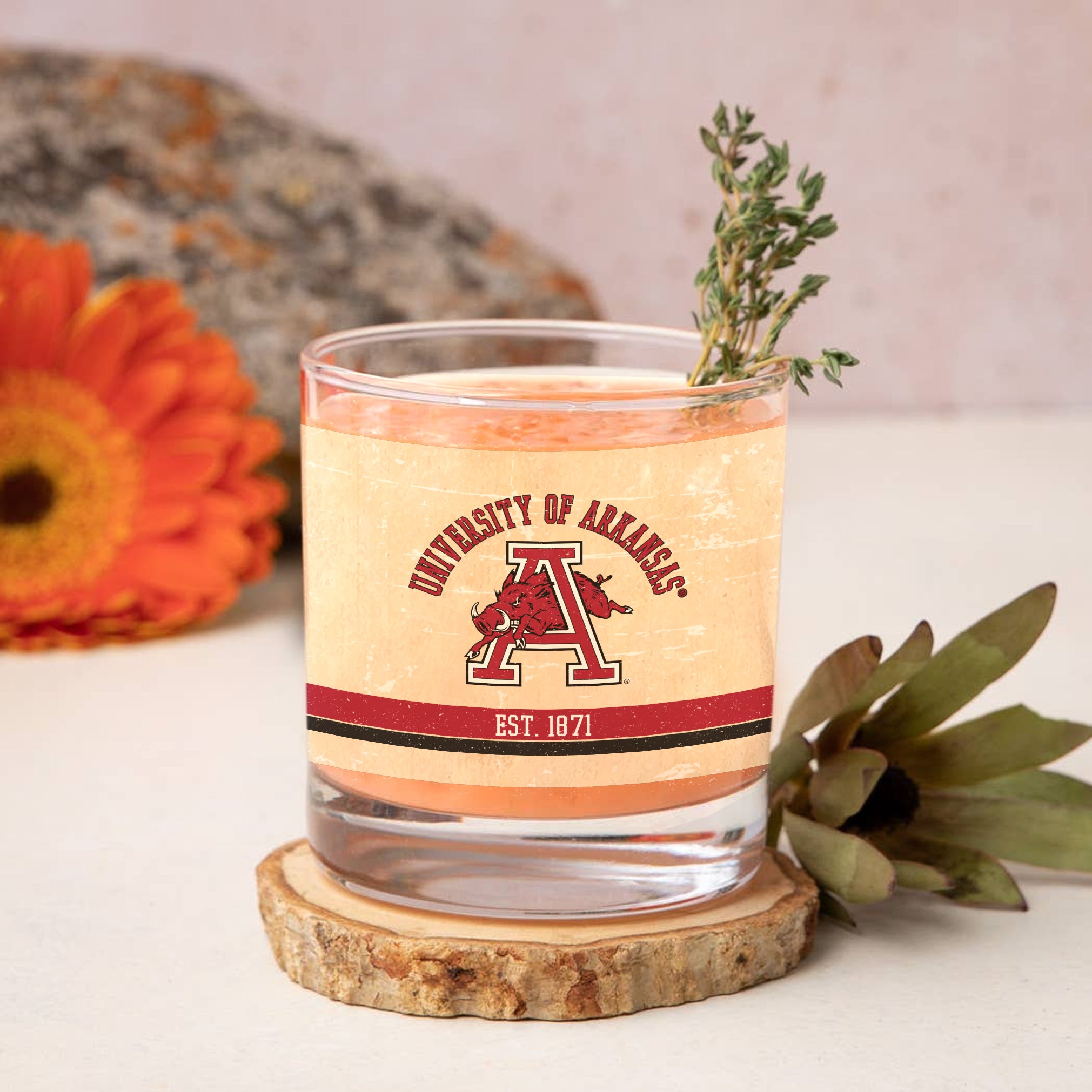 Arkansas Razorbacks Set of 2 College Vault Tan Retro 14oz Rocks Glasses