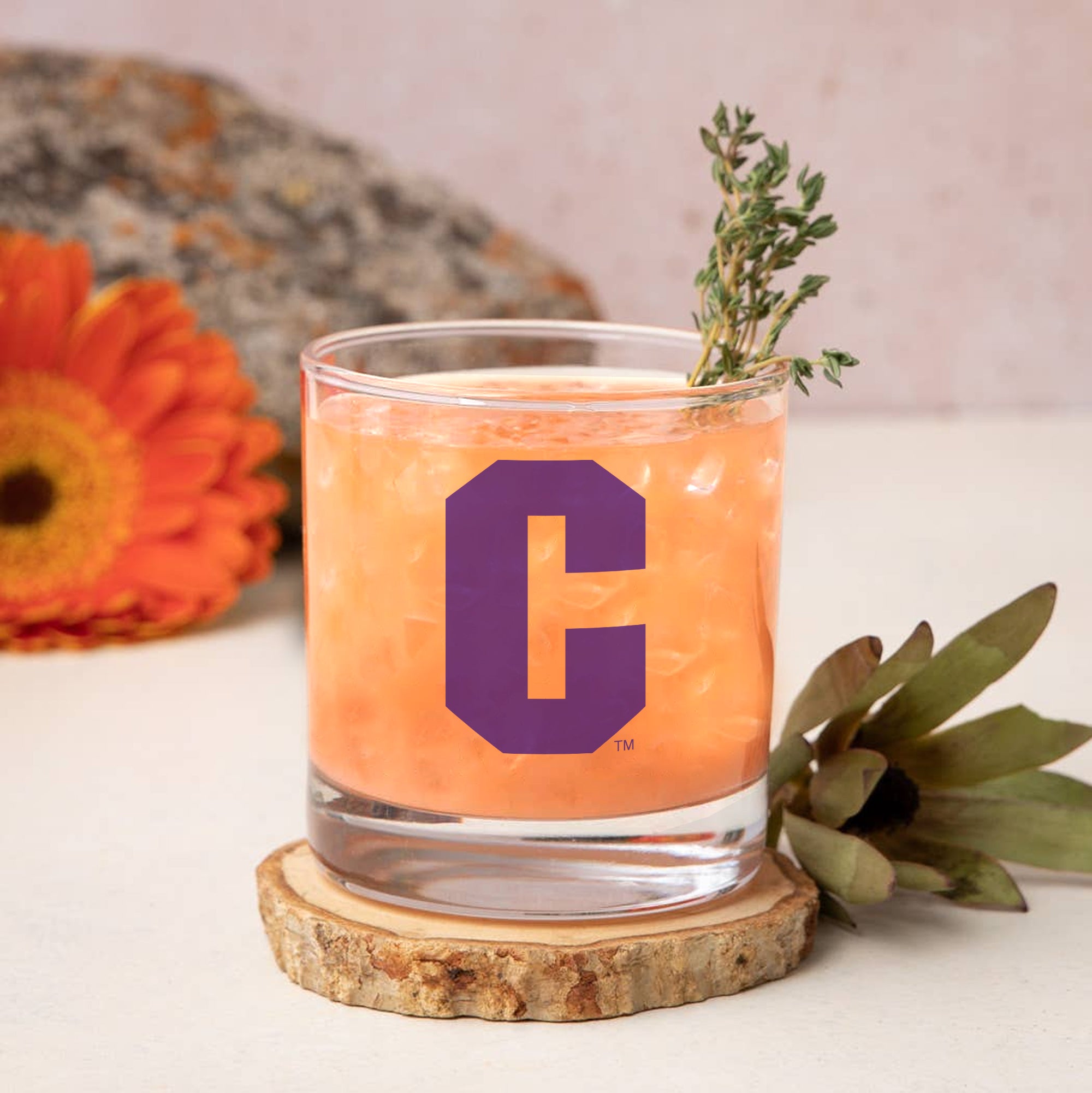 Set of 2 Clemson Tigers College Vault Sketch 14oz Rocks Glasses