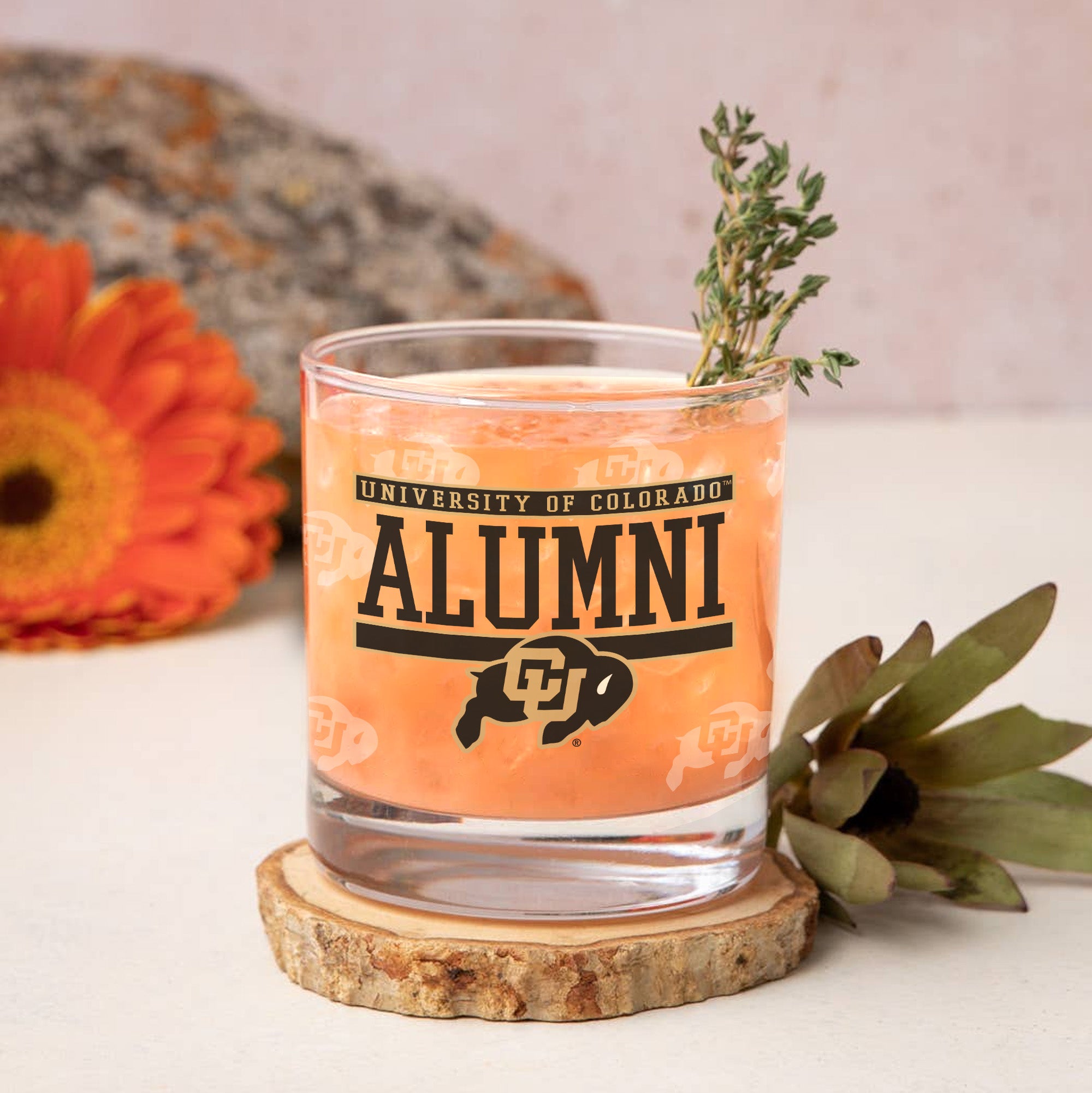 Set of 2 Colorado Buffaloes 14oz Alumni Rocks Glasses