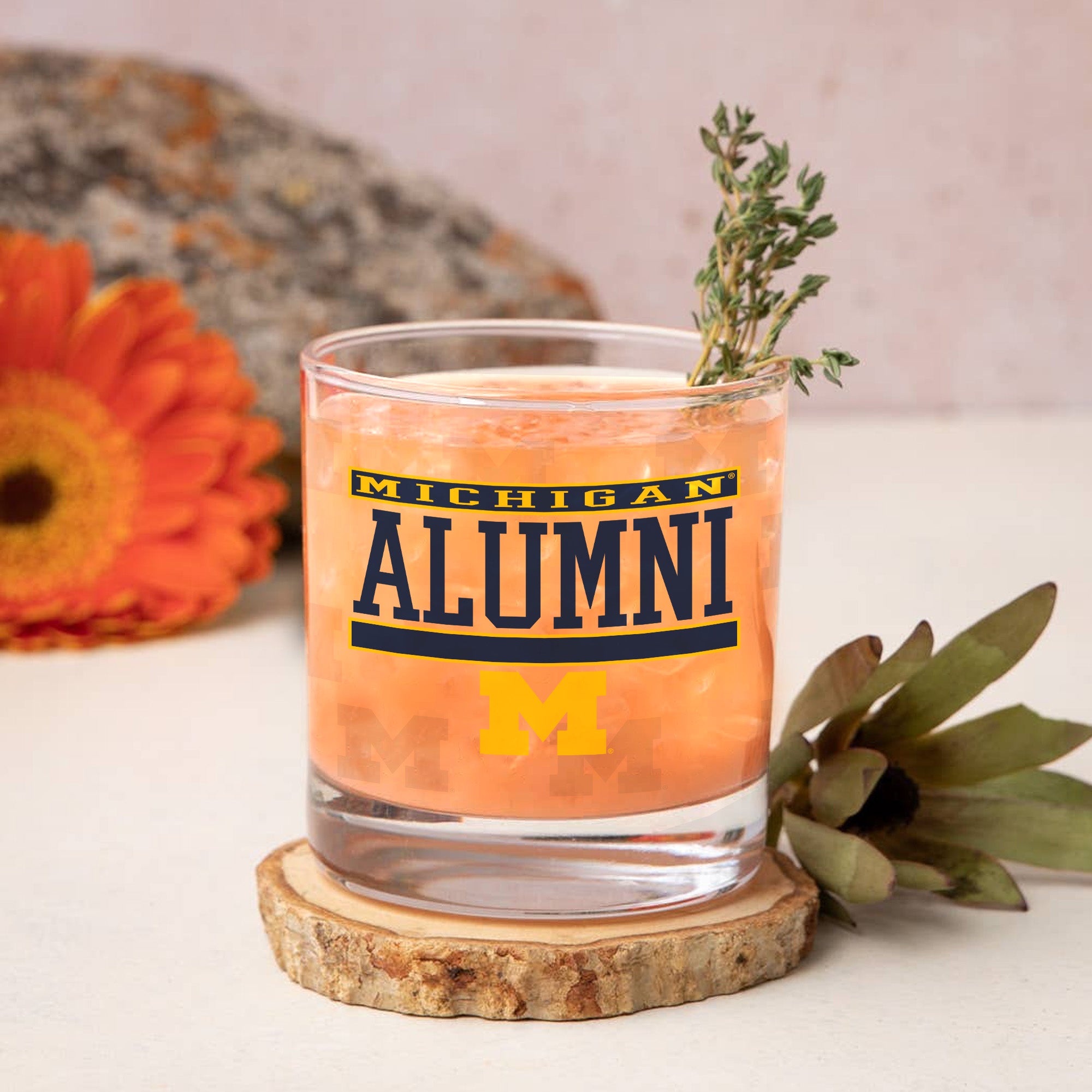 Set of 2 Michigan Wolverines 14oz Alumni Rocks Glasses