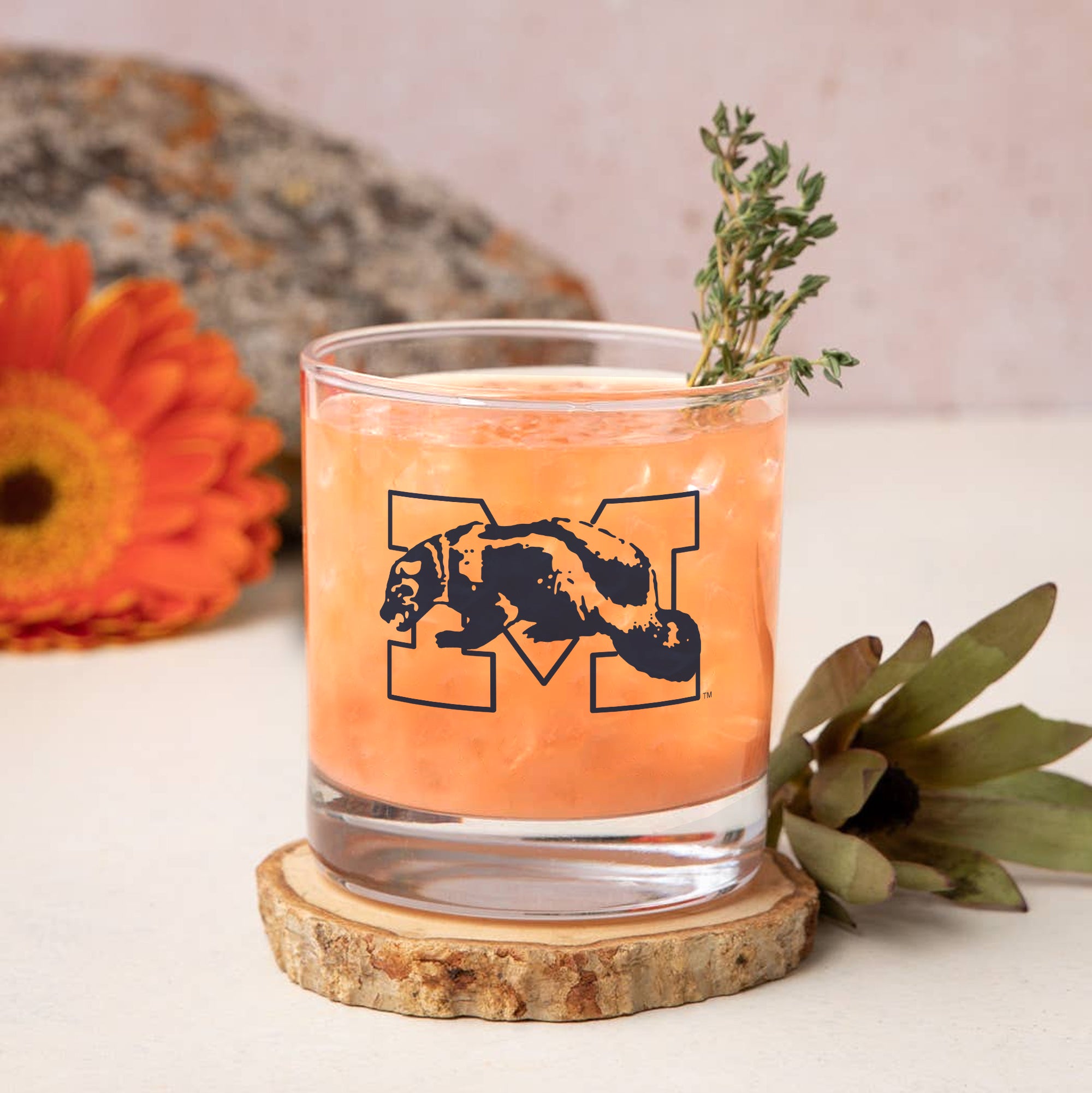 Set of 2 Michigan Wolverines College Vault Sketch 14oz Rocks Glasses