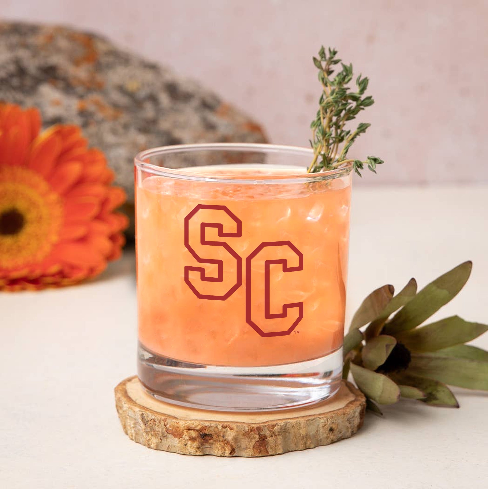 Set of 2 South Carolina Gamecocks College Vault Sketch 14oz Rocks Glasses