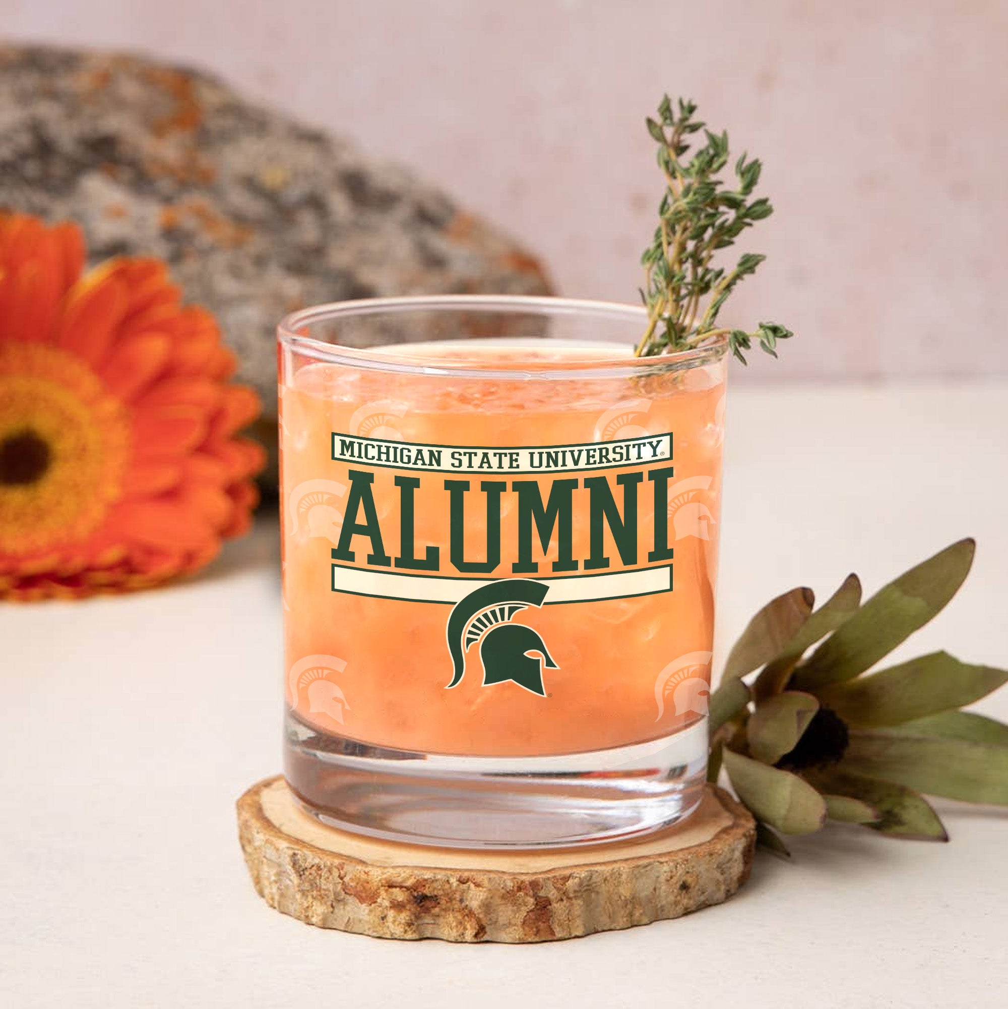 Set of 2 Michigan State Spartans 14oz Alumni Rocks Glasses