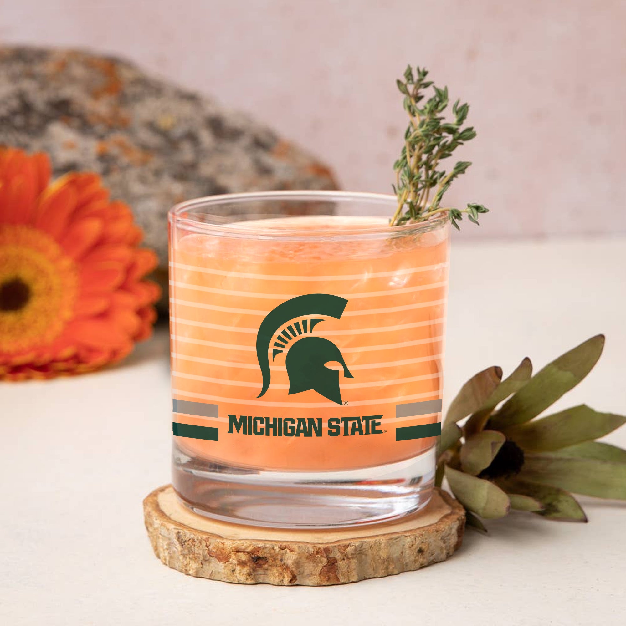 Set of 2 Michigan State Spartans 14oz Ring Rocks Glasses