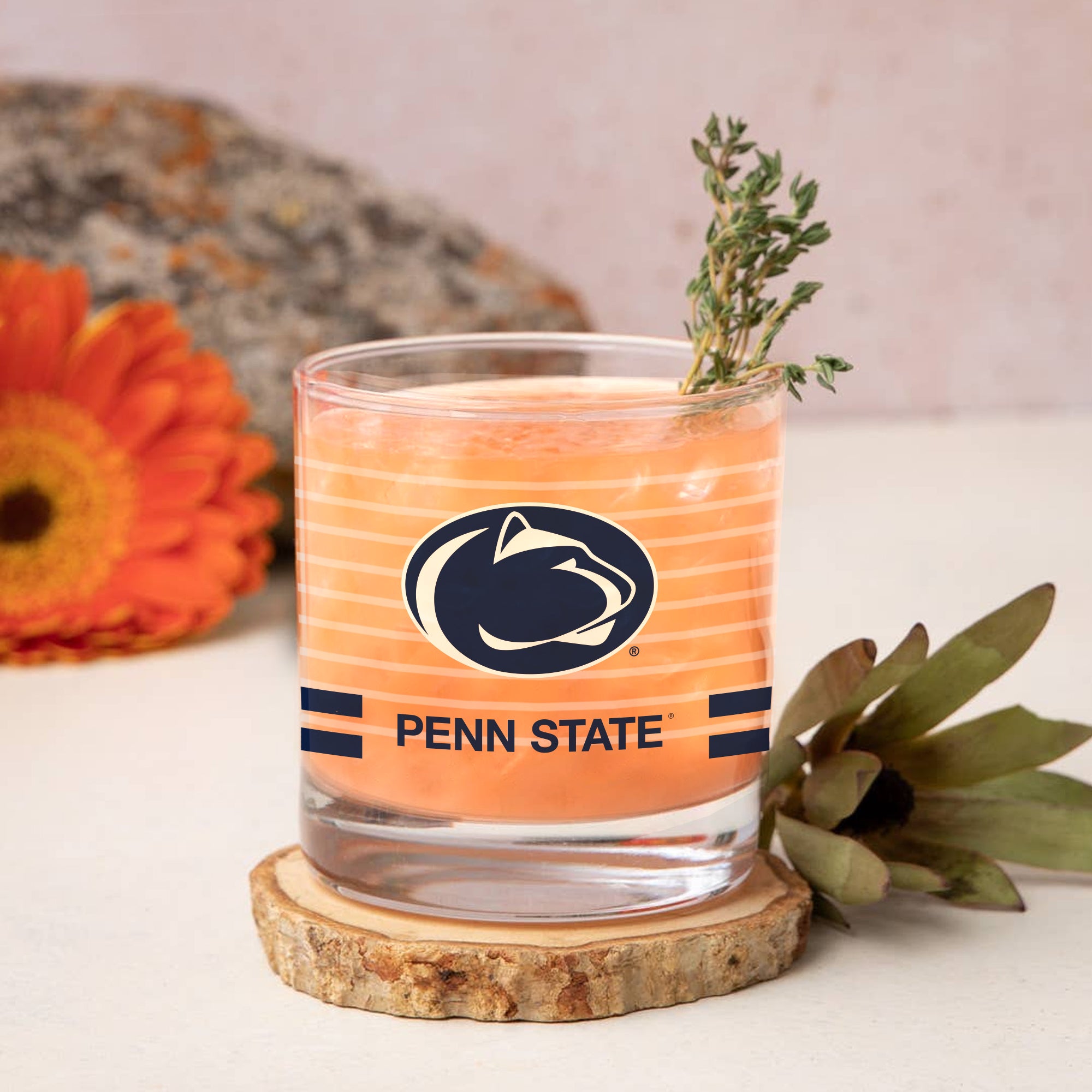 Set of 2 Penn State Nittany Lions 14oz Ring Rocks Glasses