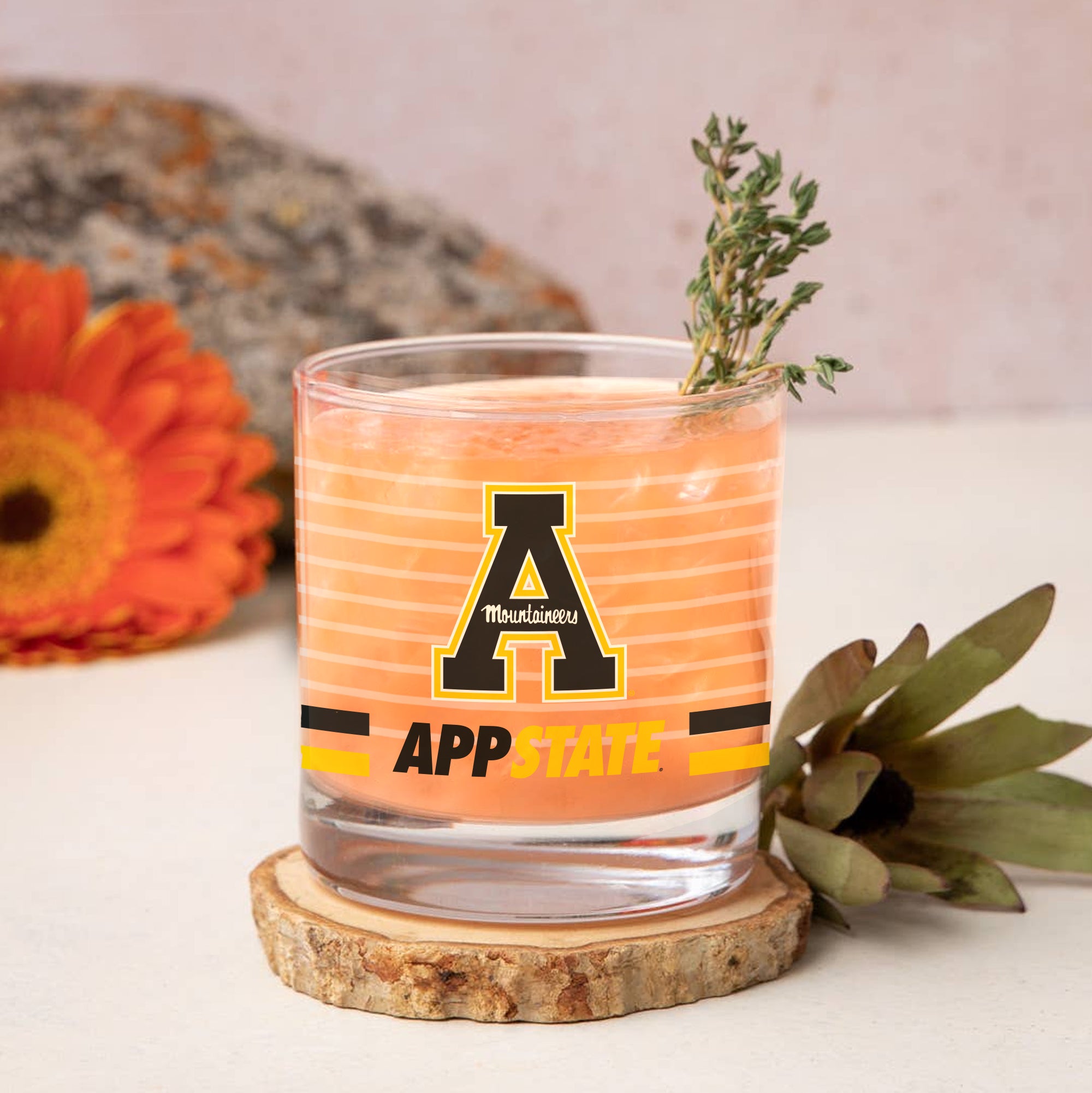 Set of 2 App State Mountaineers 14oz Ring Rocks Glasses