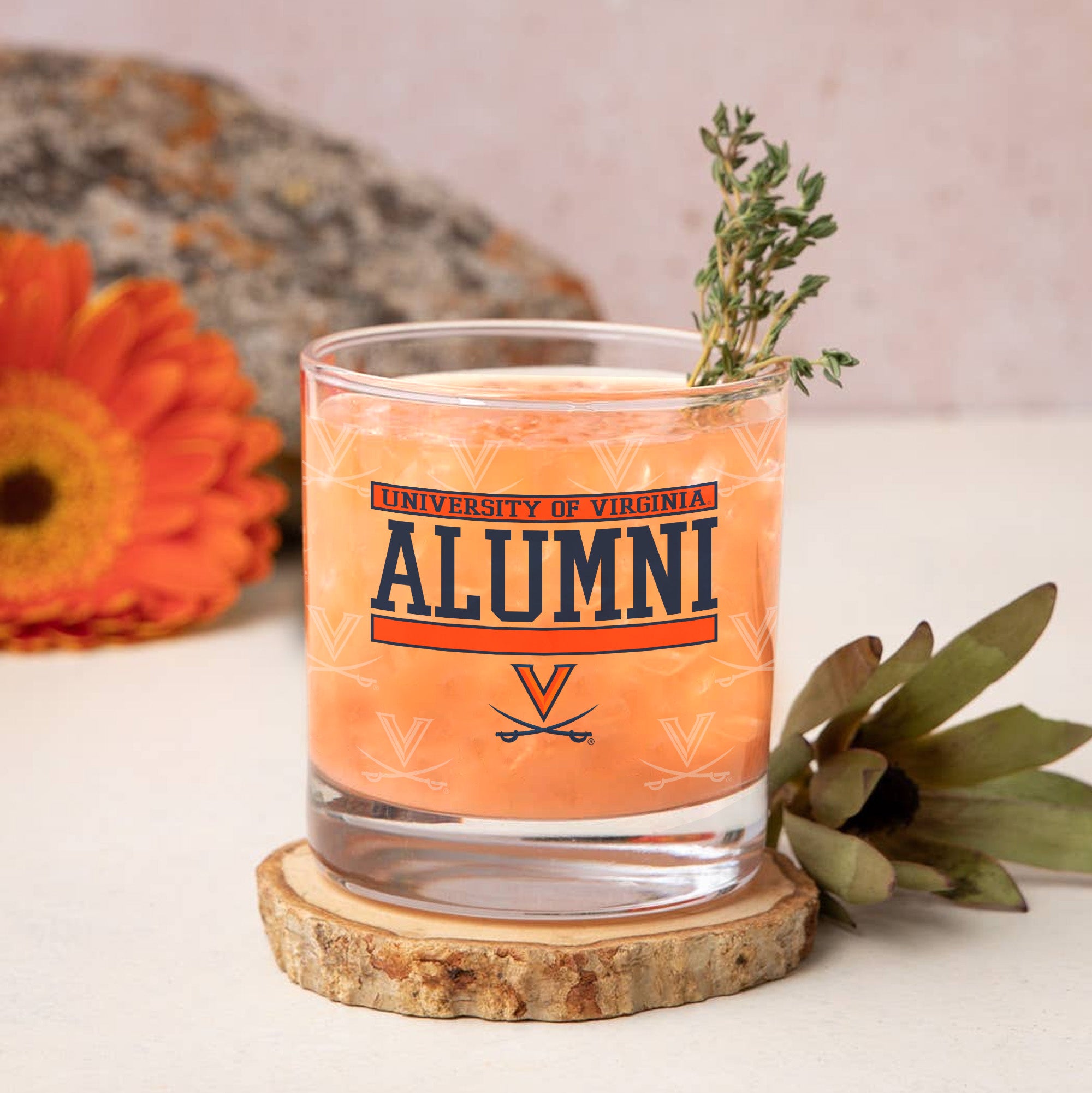 Set of 2 Virginia Cavaliers 14oz Alumni Rocks Glasses