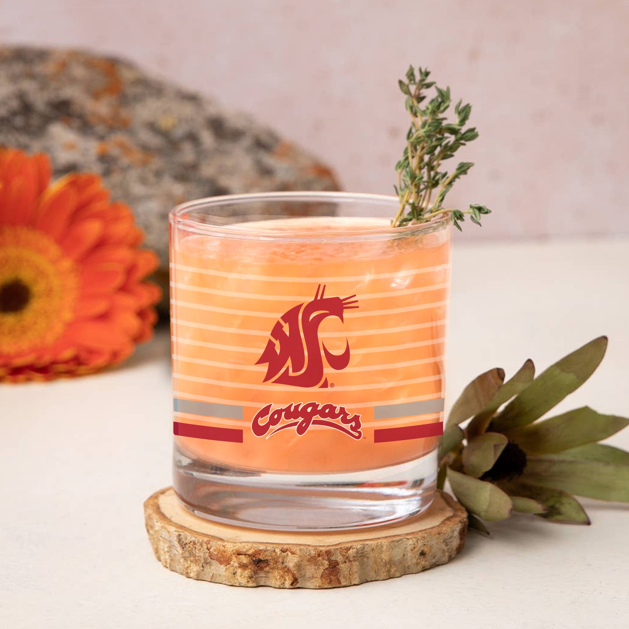 Set of 2 Washington State Cougars 14oz Ring Rocks Glasses