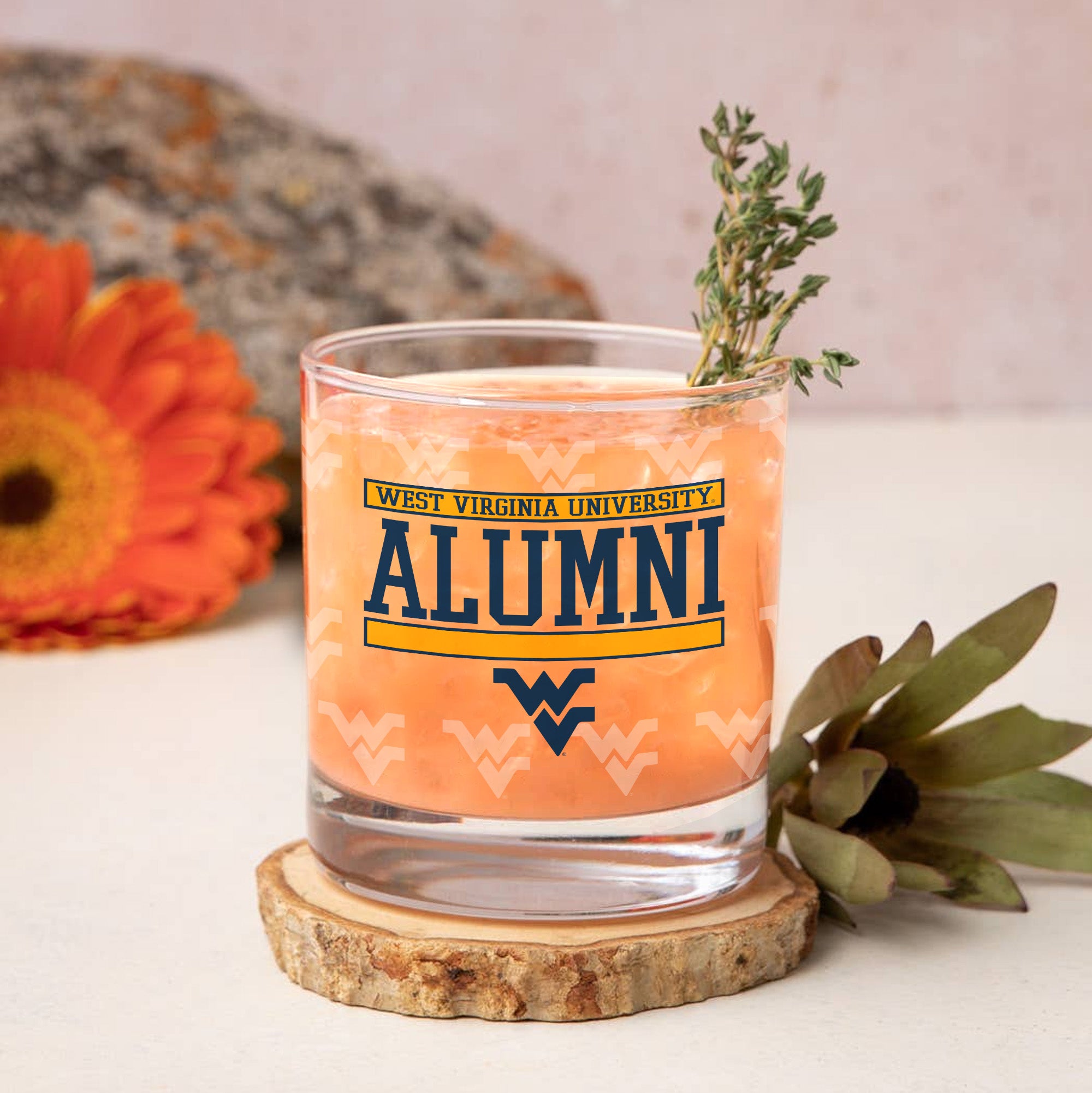 Set of 2 West Virginia Mountaineers 14oz Alumni Rocks Glasses