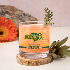 Set of 2 North Dakota State Bisons 14oz Ring Rocks Glasses