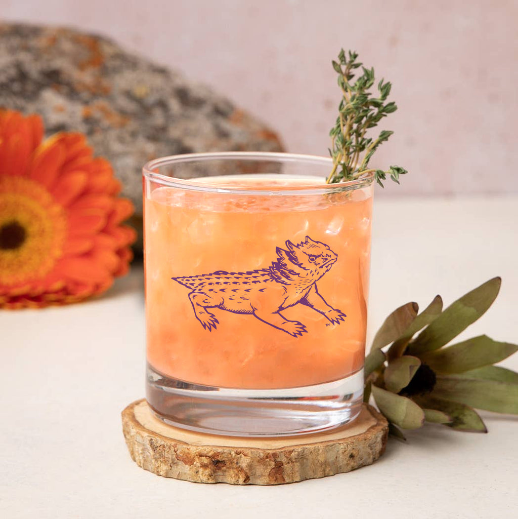 Set of 2 TCU Horned Frogs College Vault Sketch 14oz Rocks Glasses