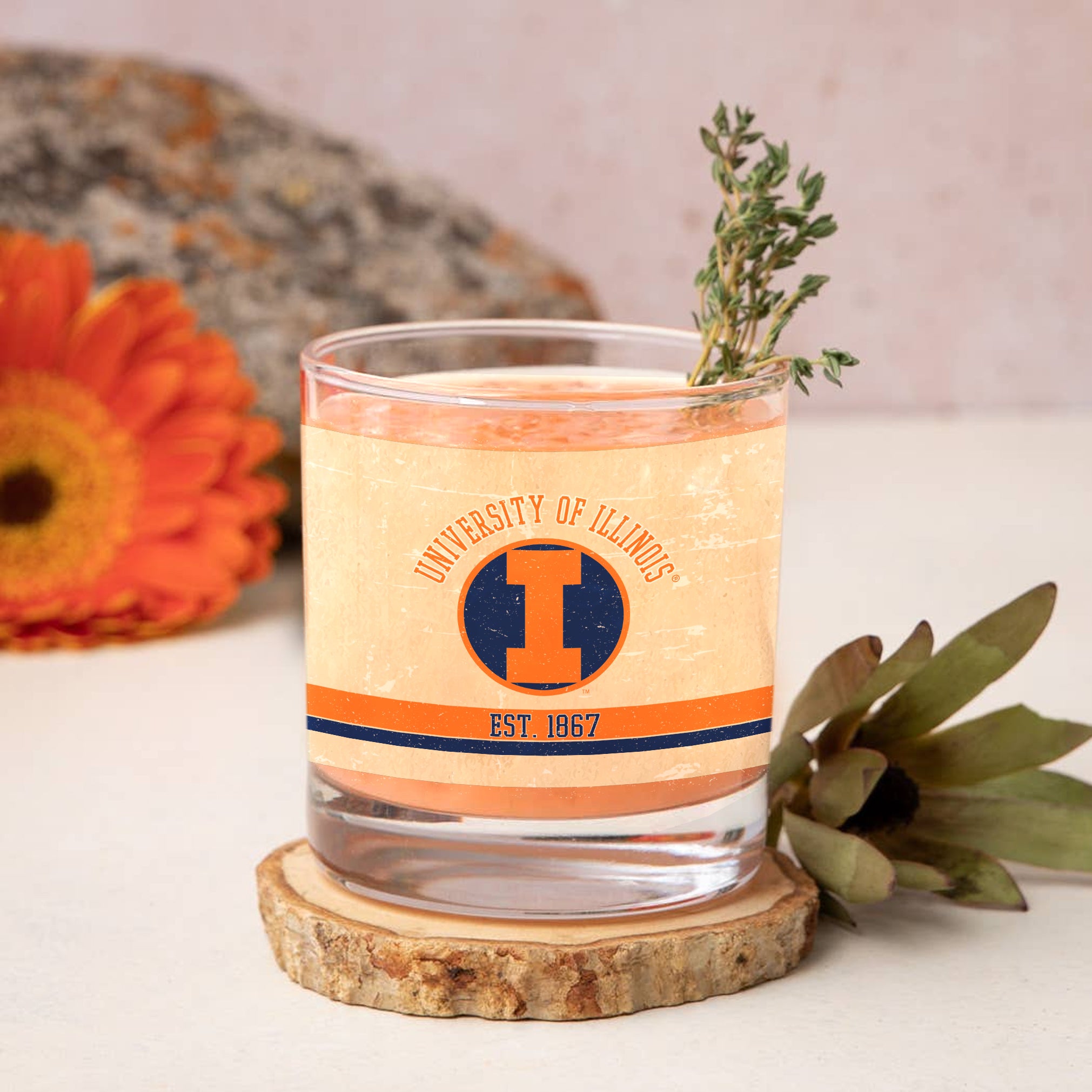 Illinois Fighting Illini Set of 2 College Vault Tan Retro 14oz Rocks Glasses