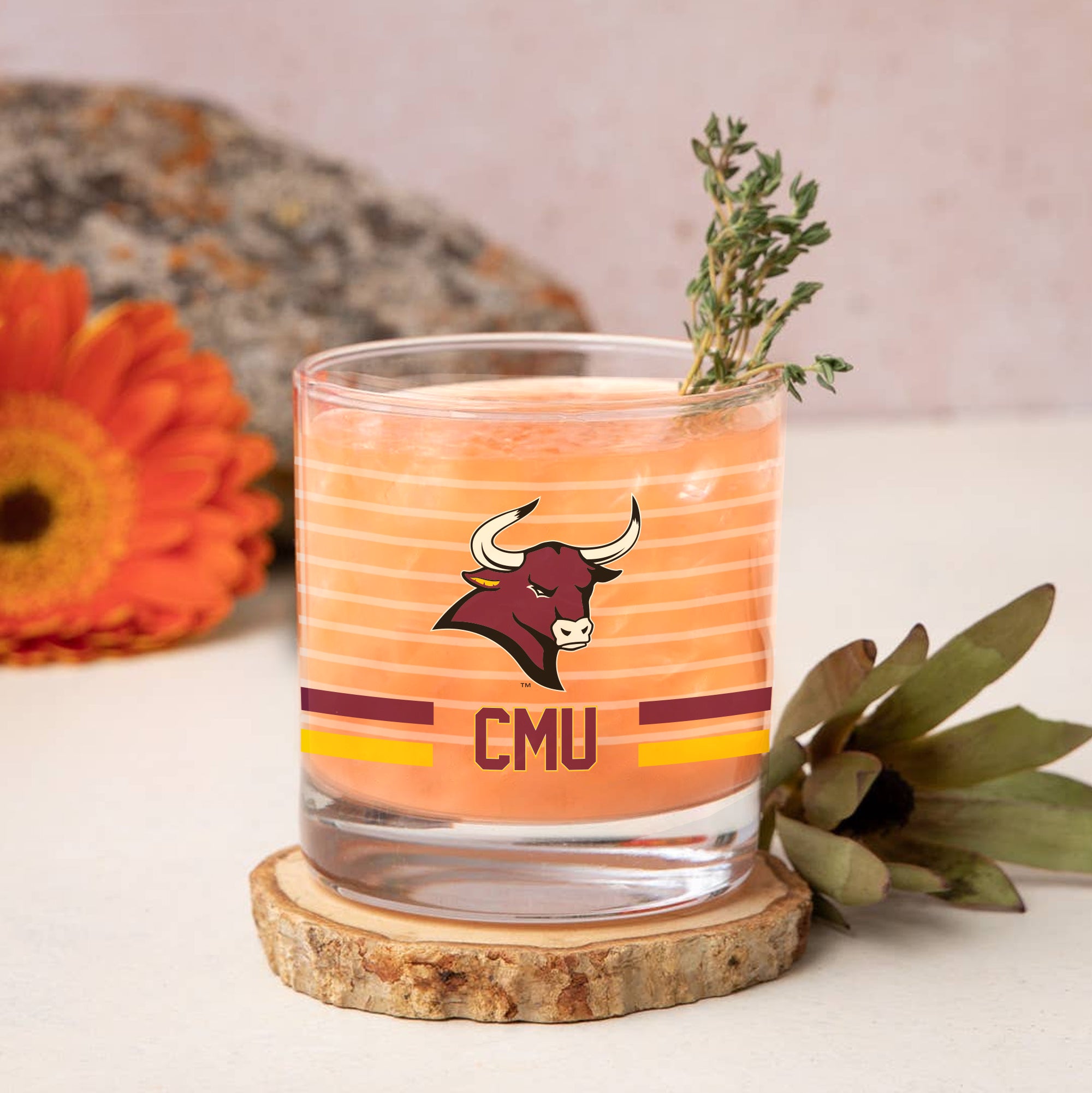 Set of 2 Colorado Mesa Mavericks 14oz Ring Rocks Glasses