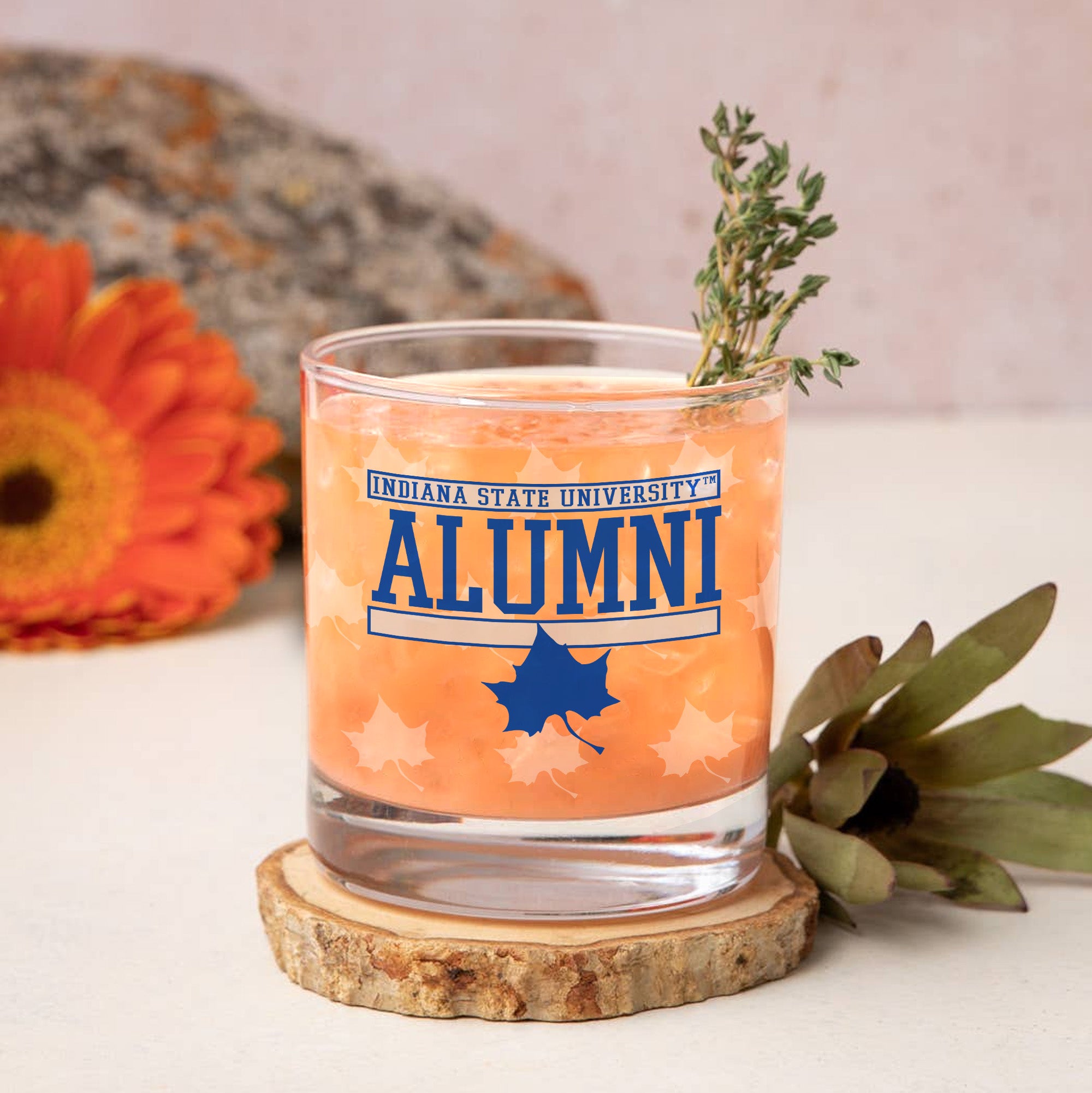 Set of 2 Indiana State Sycamores 14oz Alumni Rocks Glasses