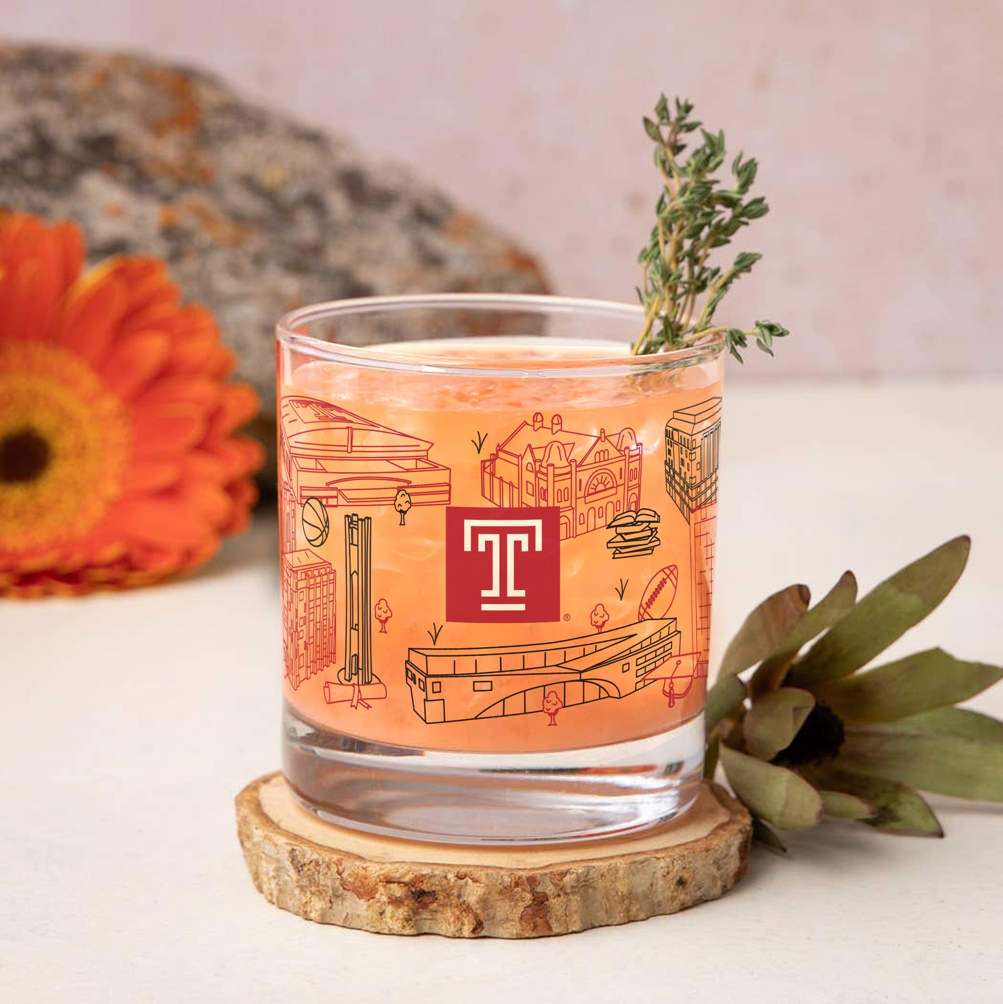 Set of 2 Temple Owls Campus Line Art 14oz Rocks Glasses