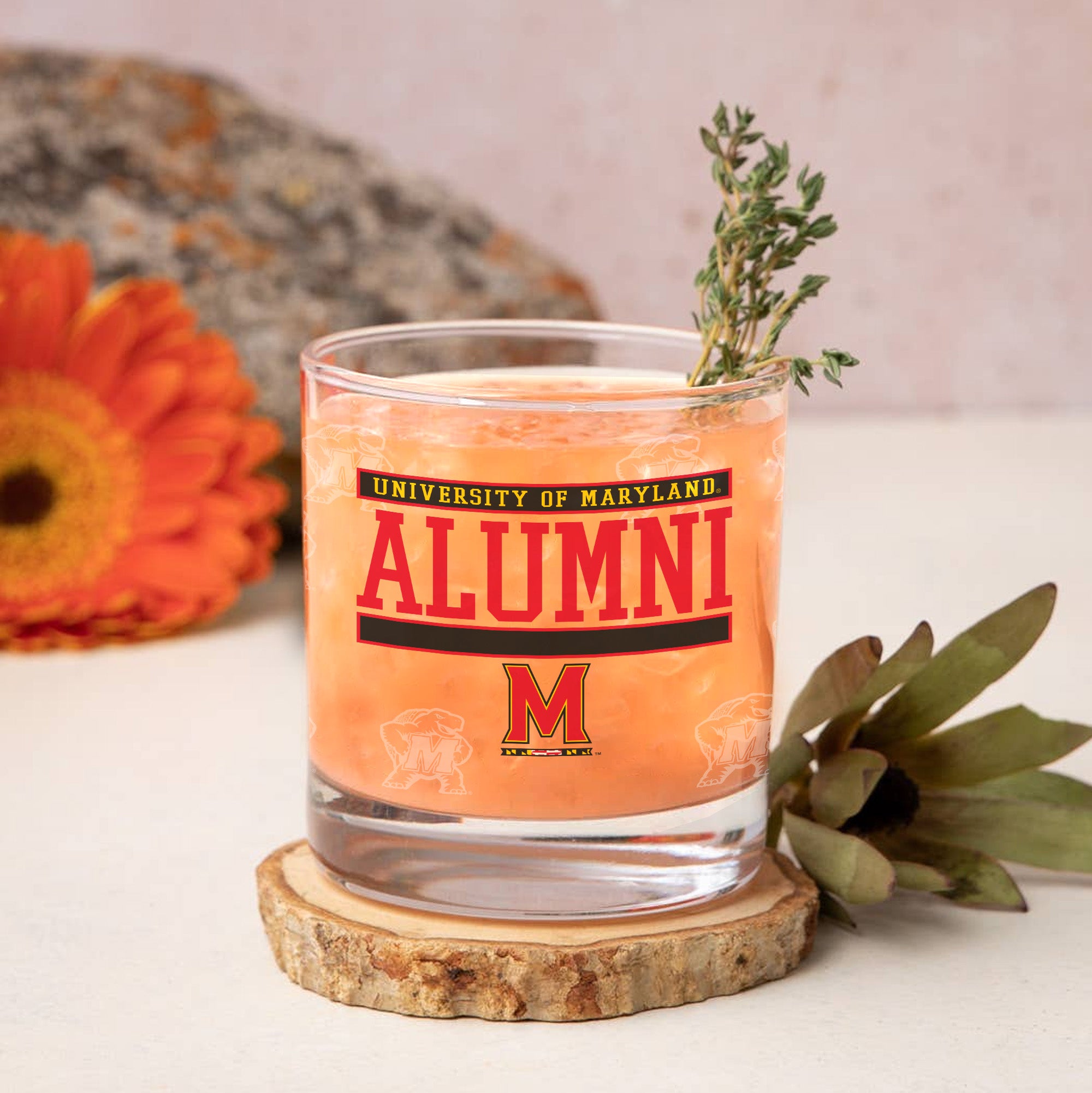 Set of 2 Maryland Terrapins 14oz Alumni Rocks Glasses