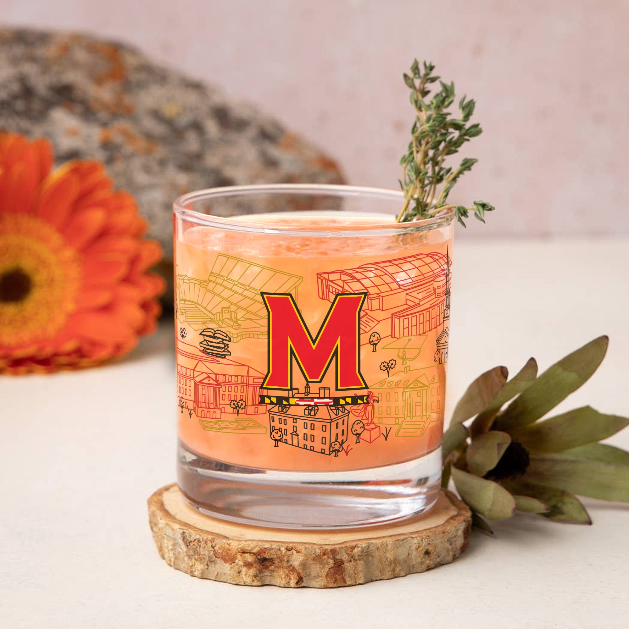 Set of 2 Maryland Terrapins Campus Line Art 14oz Rocks Glasses