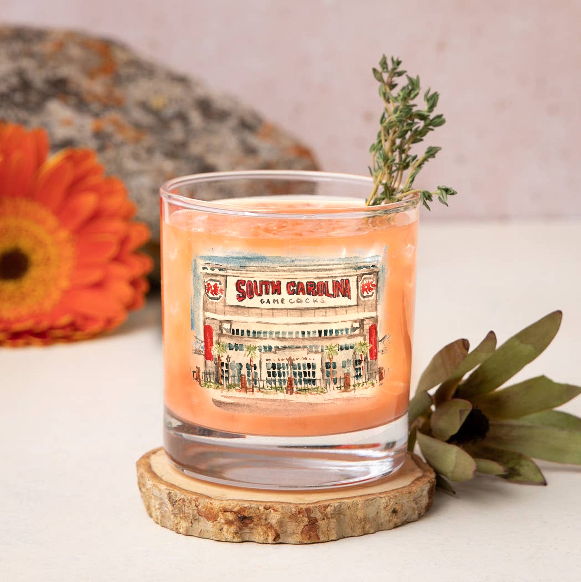 14oz South Carolina Gamecocks Laura Wilcox University Collection 2-Pack Glass Set