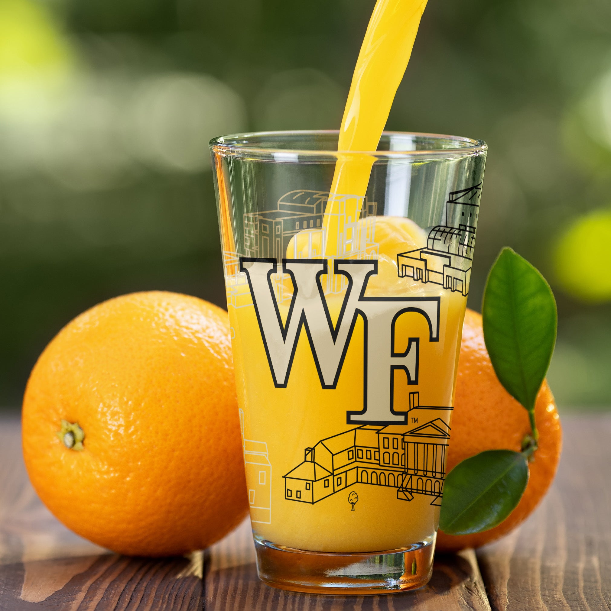 Set of 2 Wake Forest Demon Deacons Campus Line Art 16oz Pints