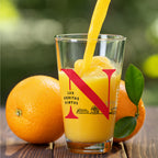 Set of 2 Northeastern Huskies Campus Line Art 16oz Pints