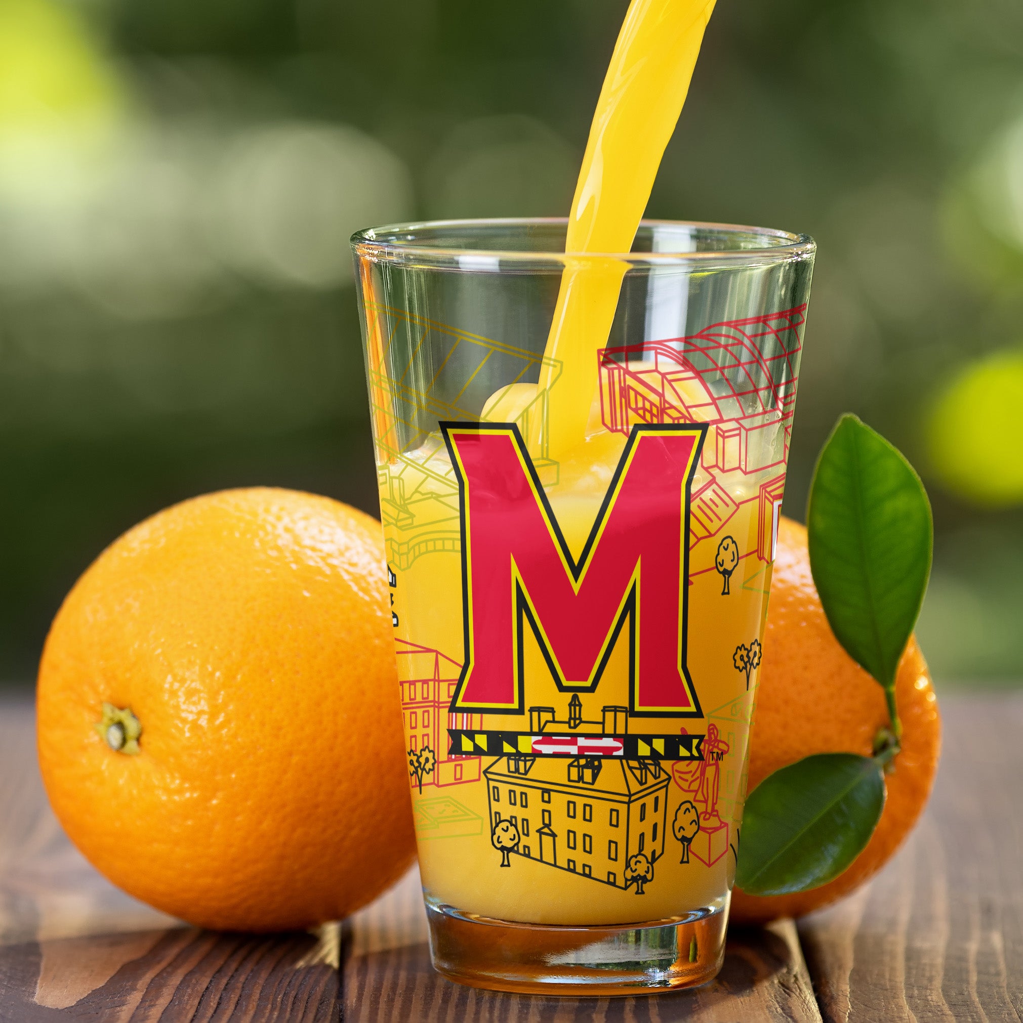 Set of 2 Maryland Terrapins Campus Line Art 16oz Pints