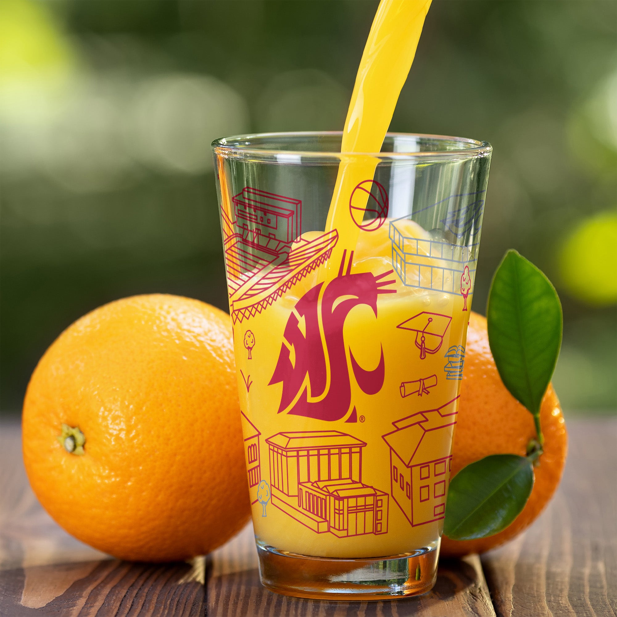 Set of 2 Washington State Cougars Campus Line Art 16oz Pints