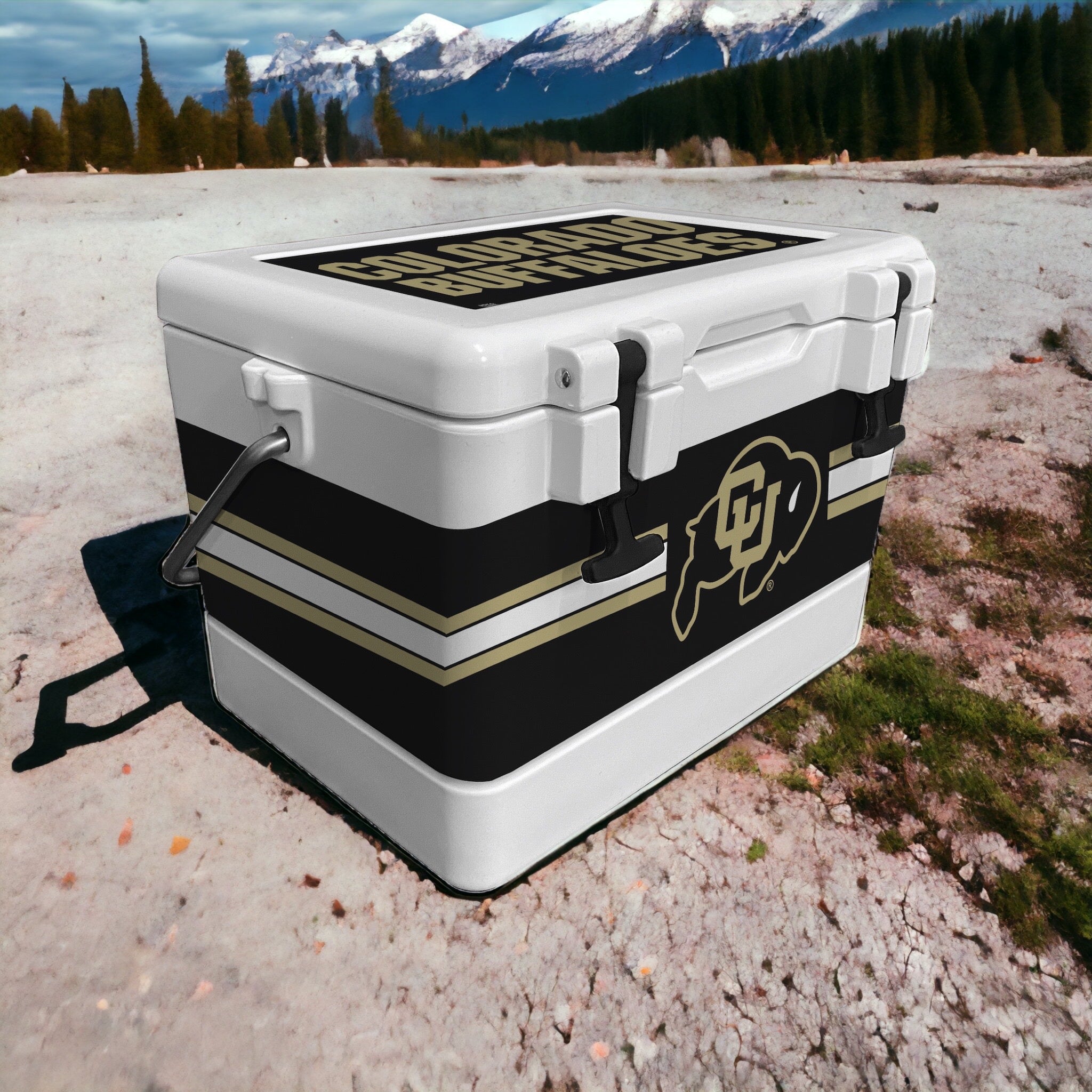 26qt Colorado Buffaloes Rotomolded Classic Cooler
