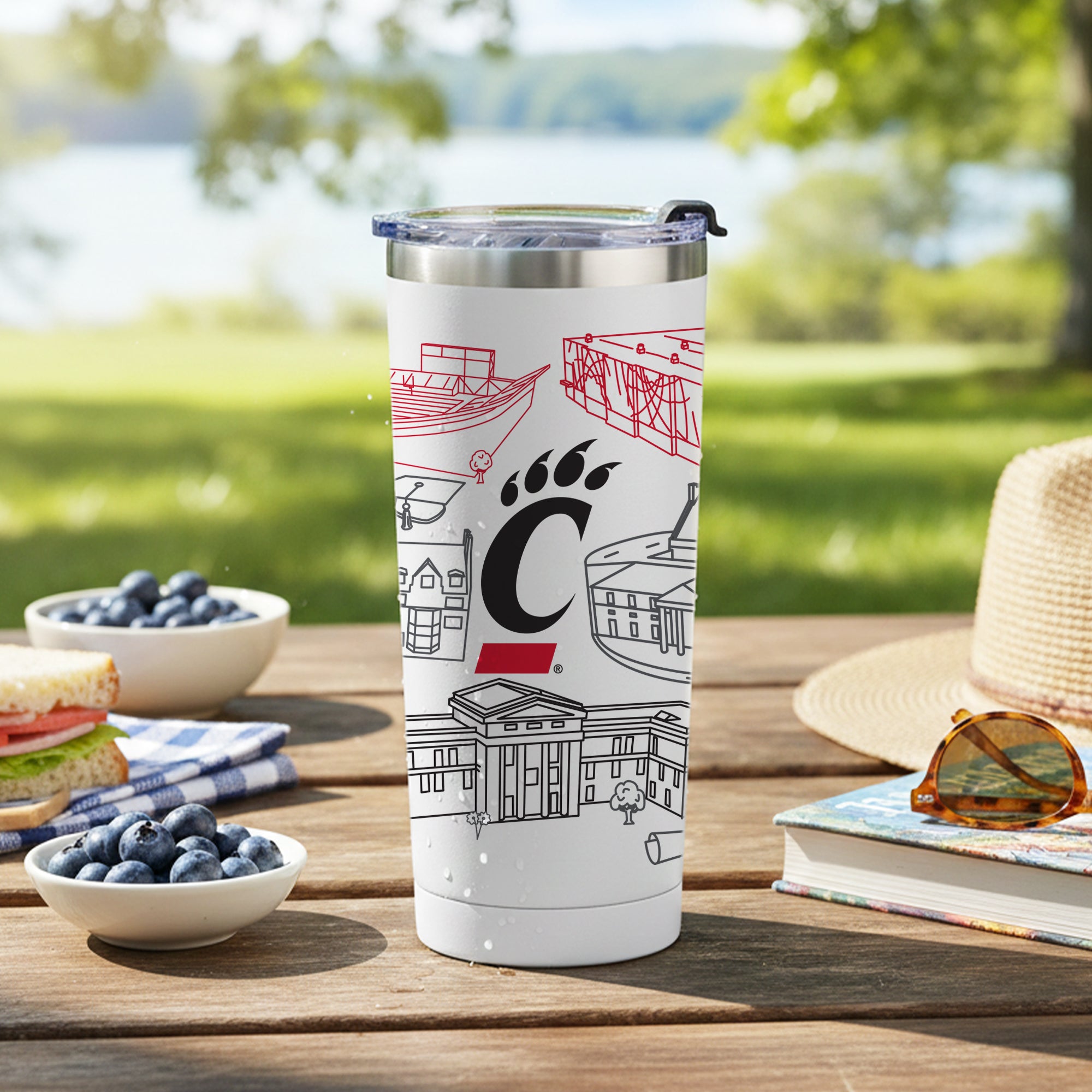 Cincinnati Bears 24oz Campus Line Art Tumbler