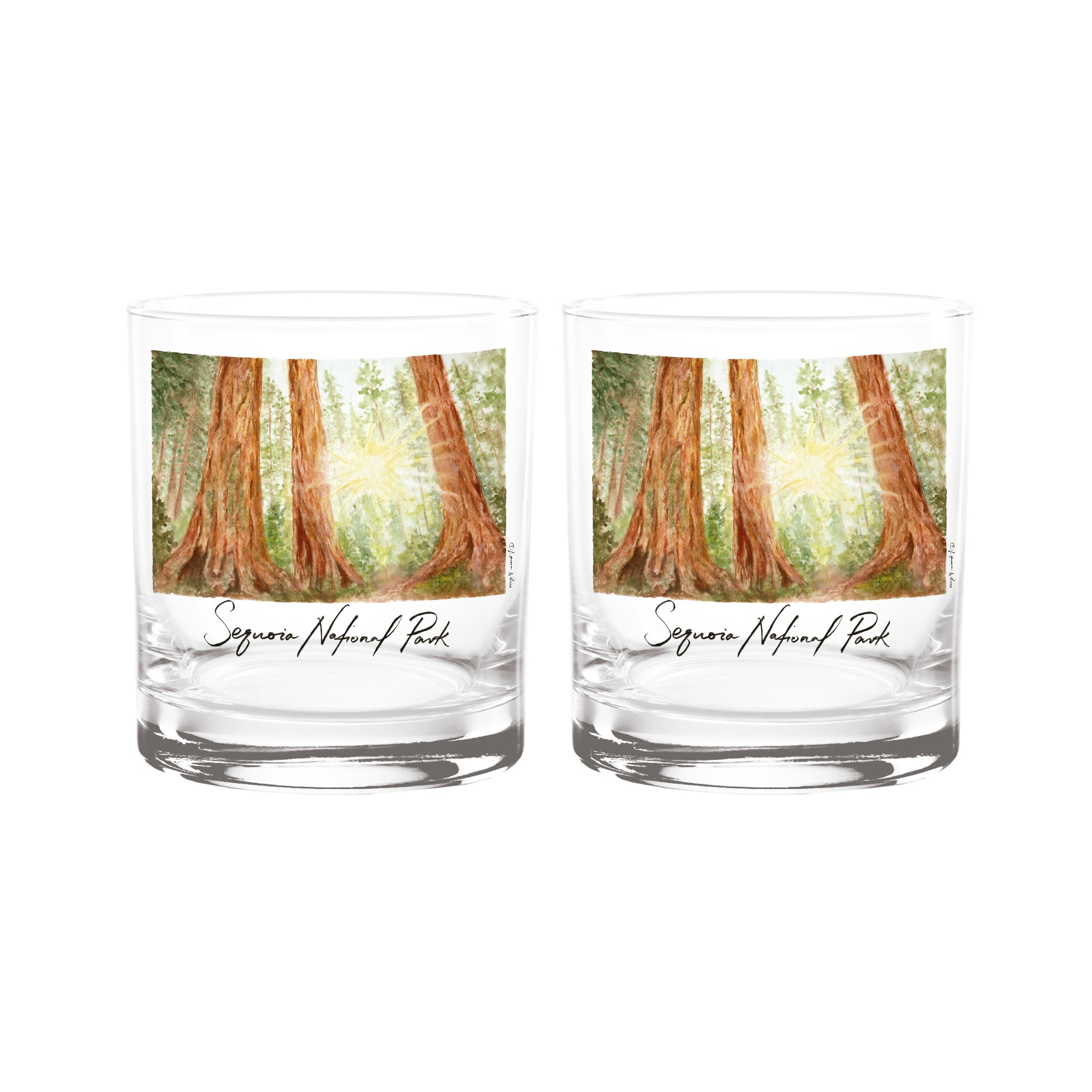 14oz Sequoia National Park 2-Pack Rock Glass Set by Laura Wilcox