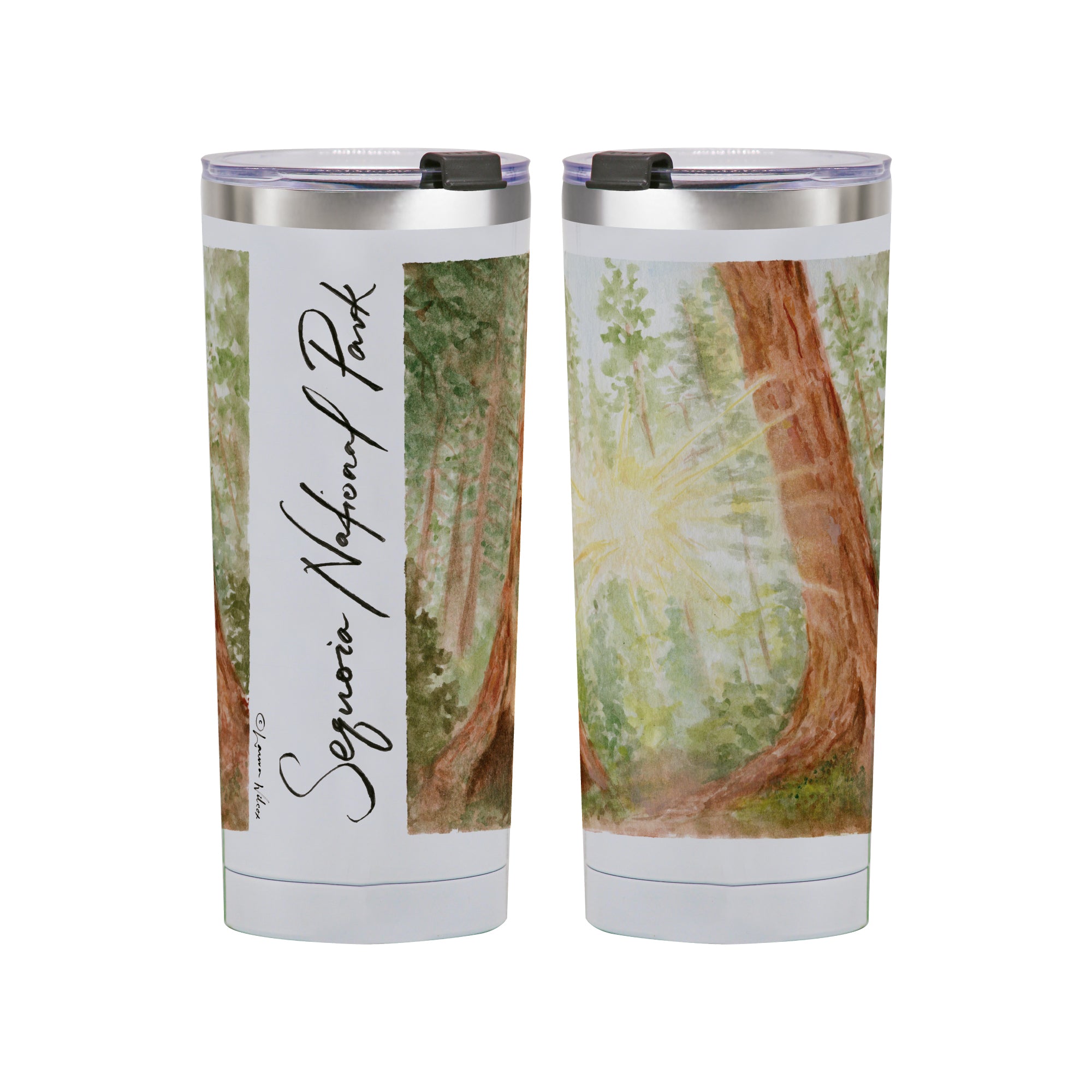 Sequoia National Park 24oz Stainless Steel Tumbler by Laura Wilcox