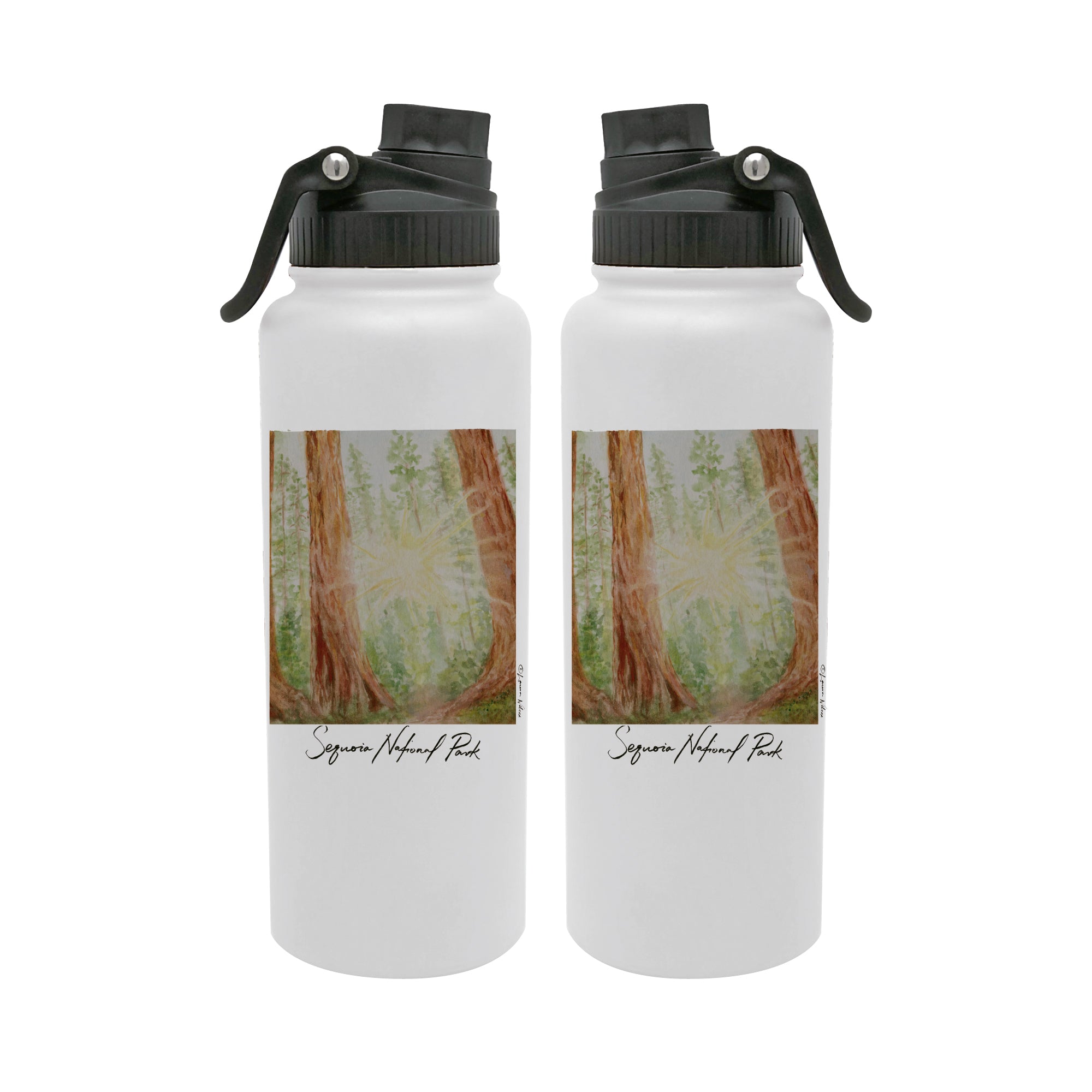 Sequoia National Park 34oz Aqua Bottle by Laura Wilcox