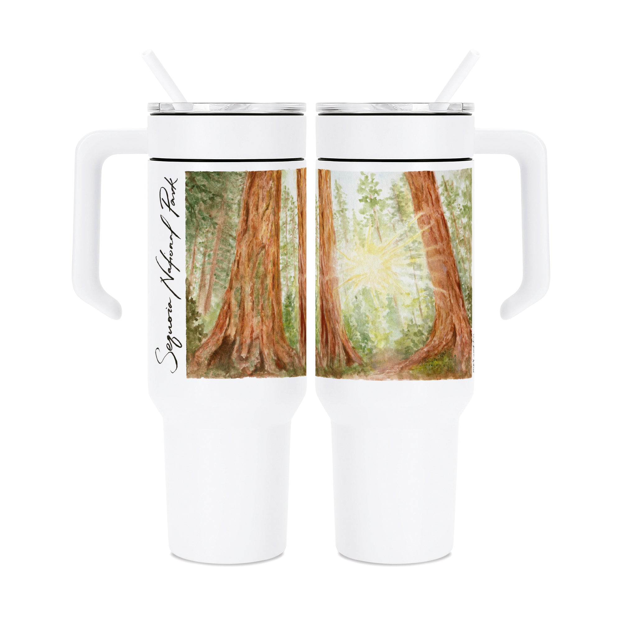 48oz Sequoia National Park Tumbler