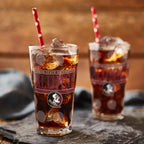 Set of 2 Florida State Seminoles 16oz Alumni Pints