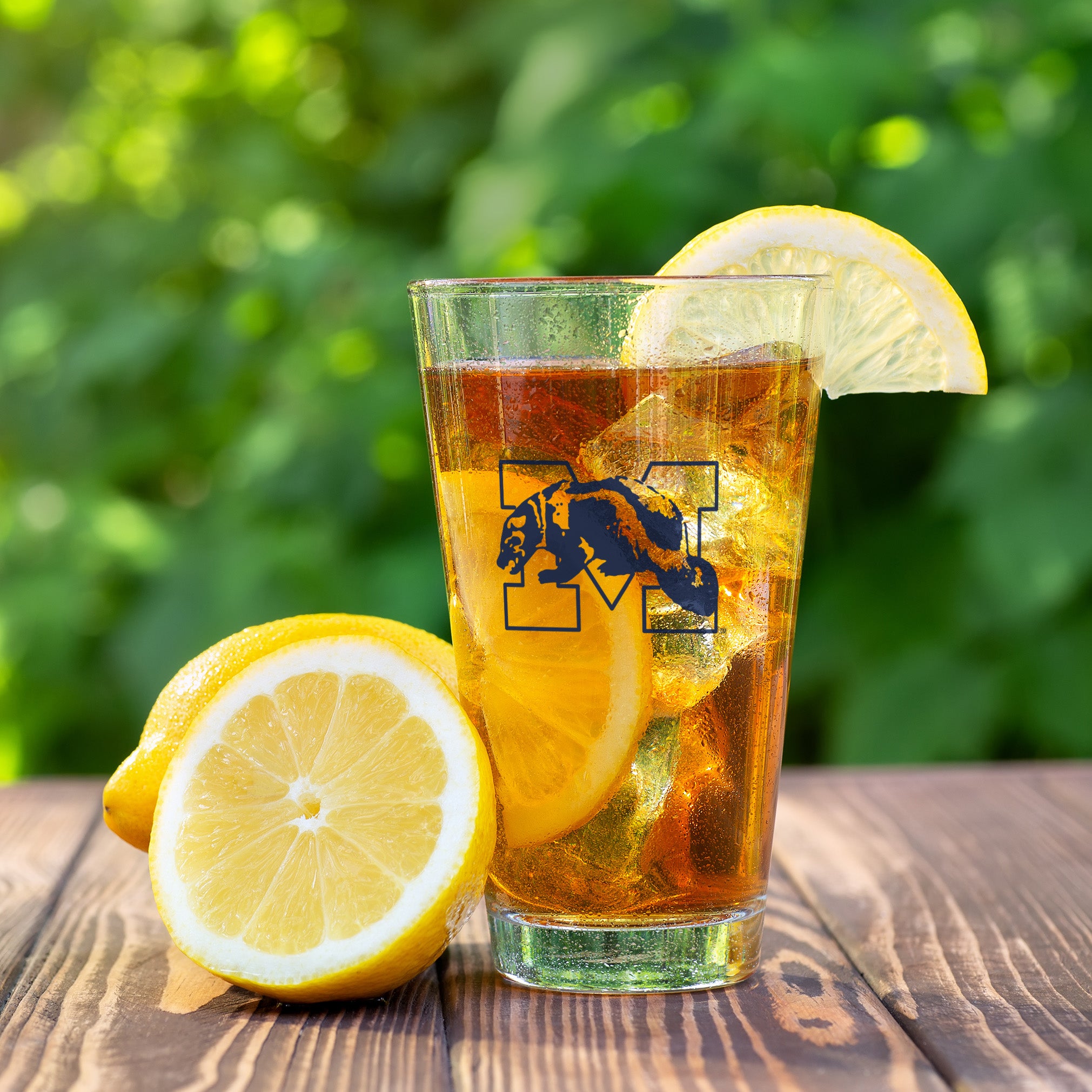 Set of 2 Michigan Wolverines College Vault Sketch 16oz Pints