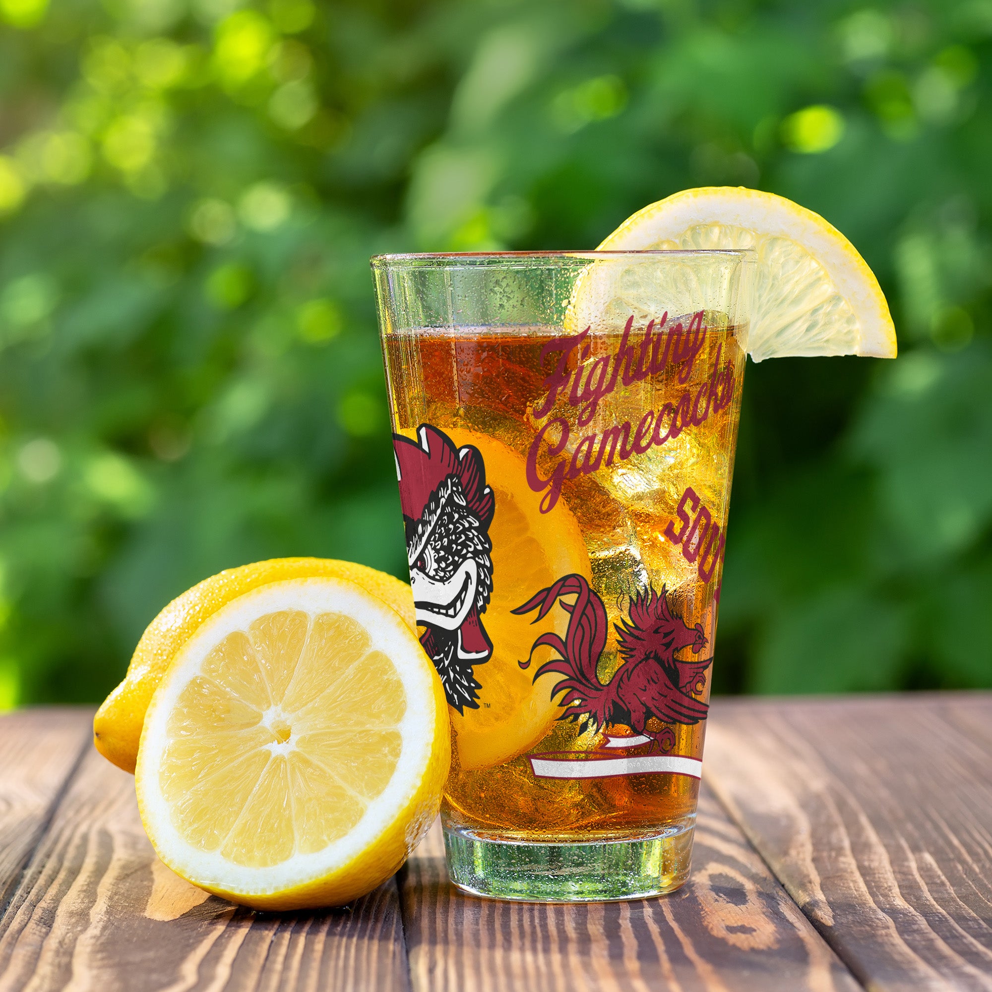 16oz South Carolina Gamecocks College Vault Medley Pint 2 Pack