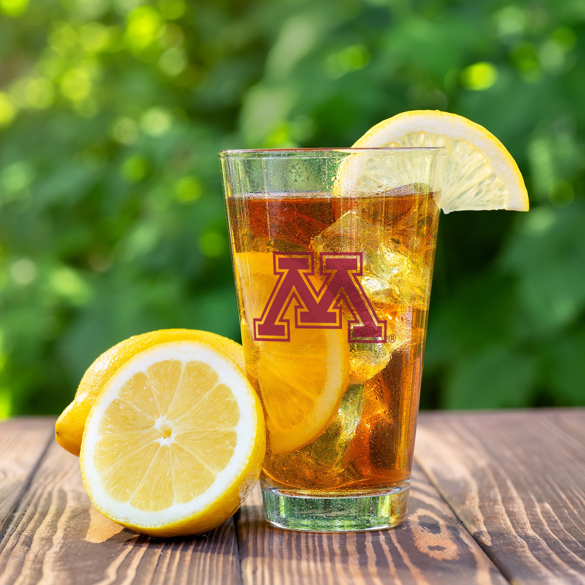 Set of 2 Minnesota Golden Gophers College Vault Sketch 16oz Pints