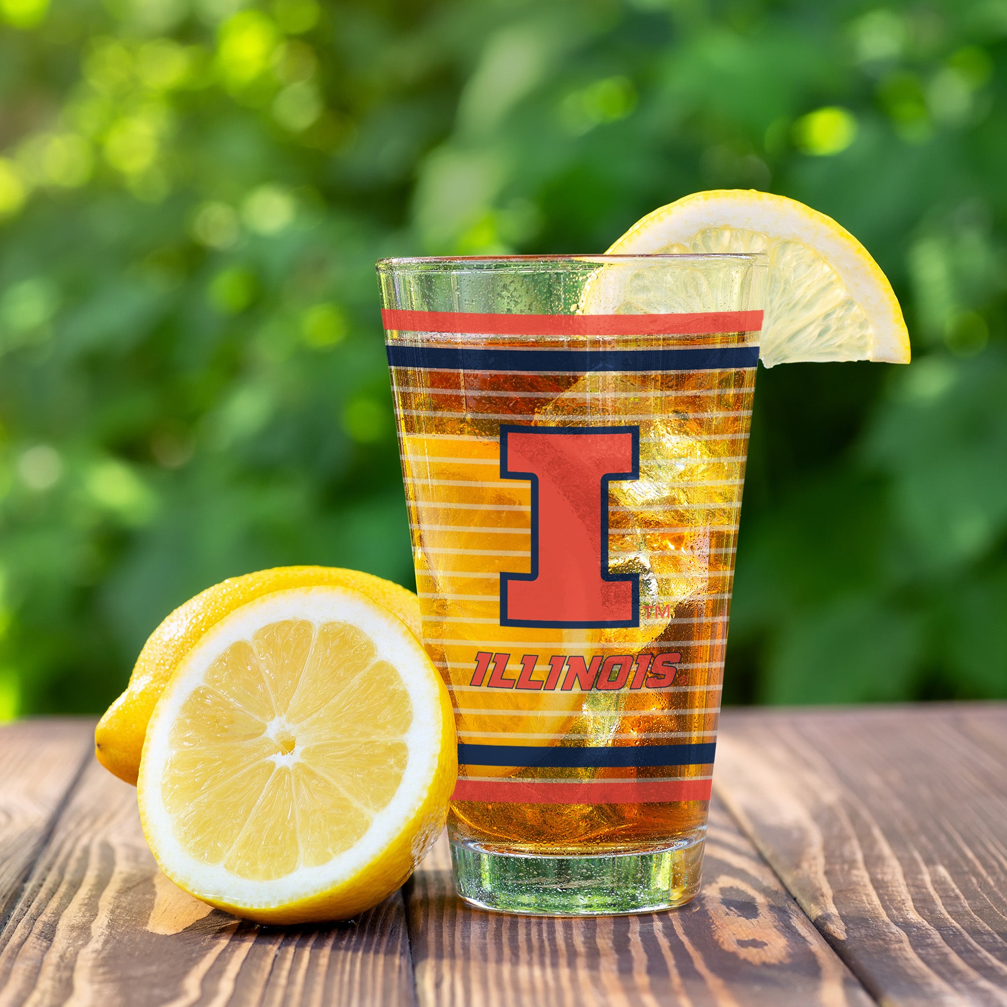 Set of 2 Illinois Fighting Illini 16oz Ring Pints