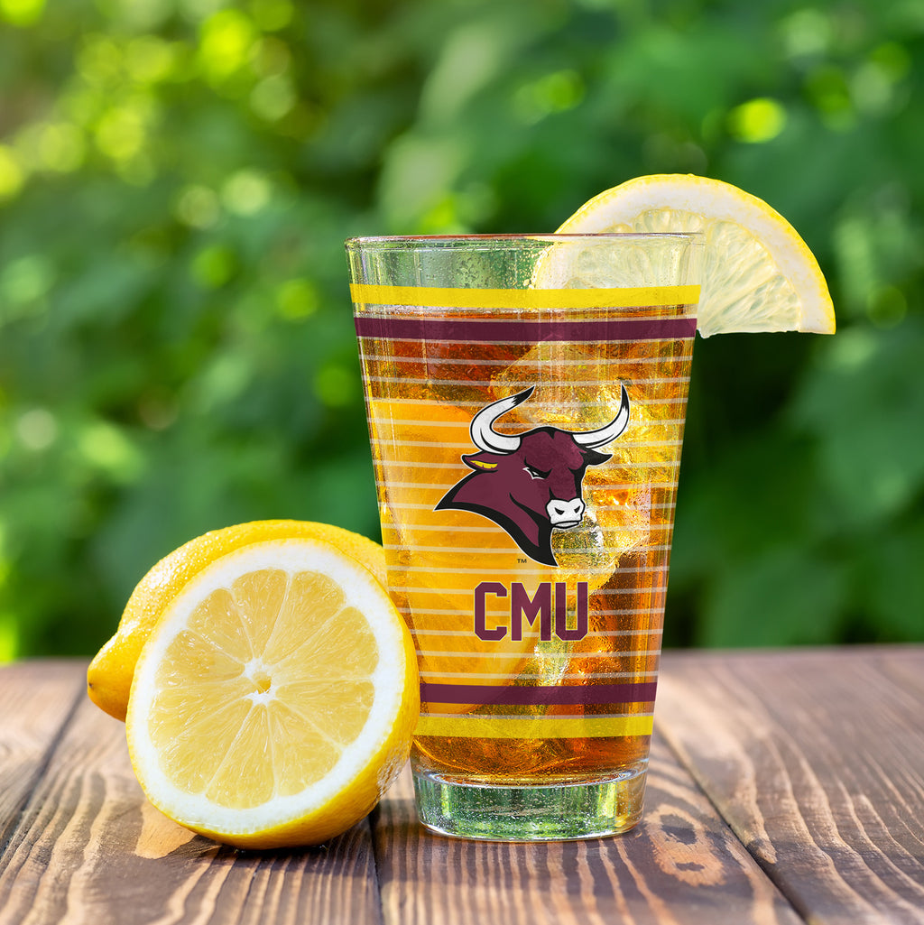 Set of 2 Colorado Mesa Mavericks 16oz Ring Pints