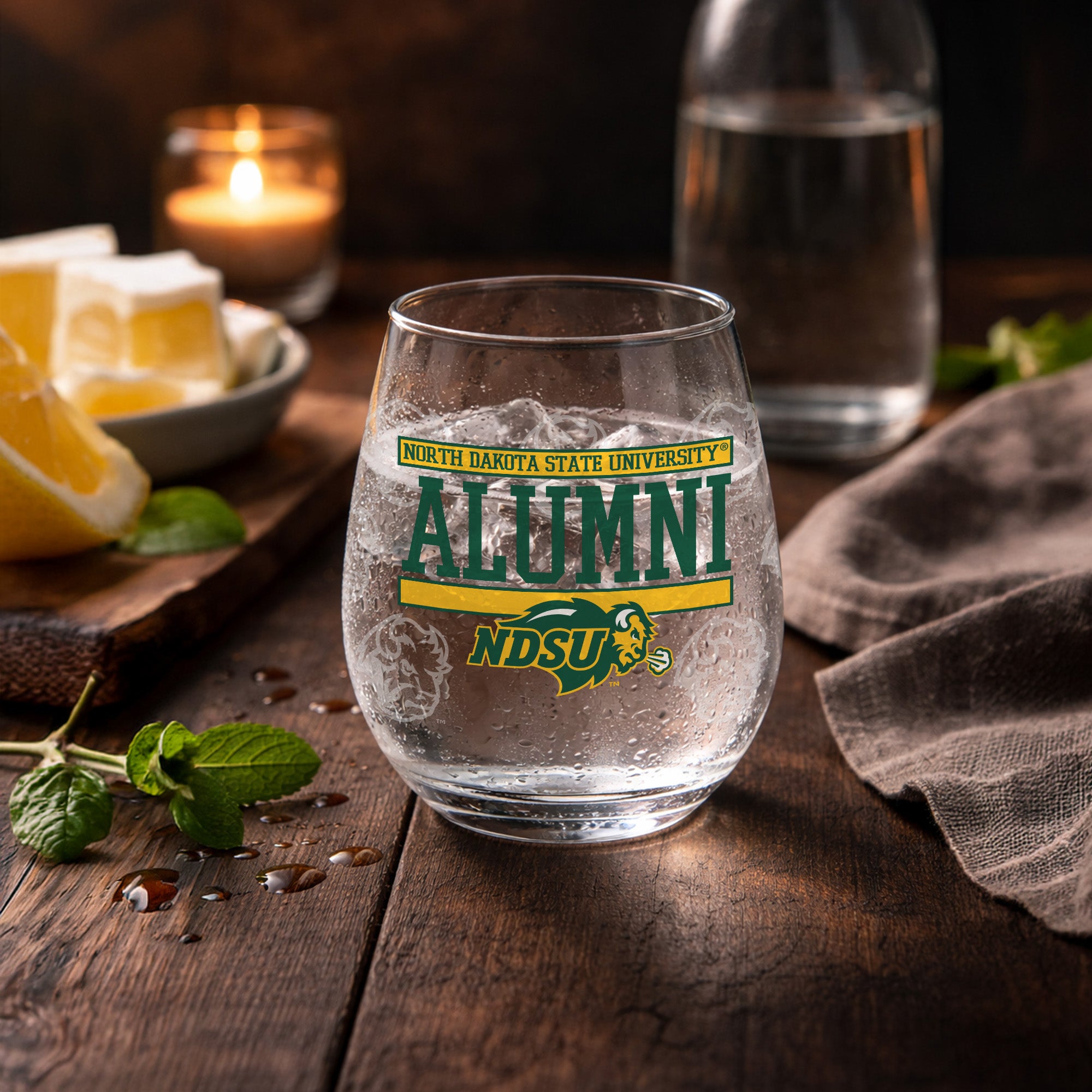 Set of 2 North Dakota State Bisons Alumni 15oz Stemless