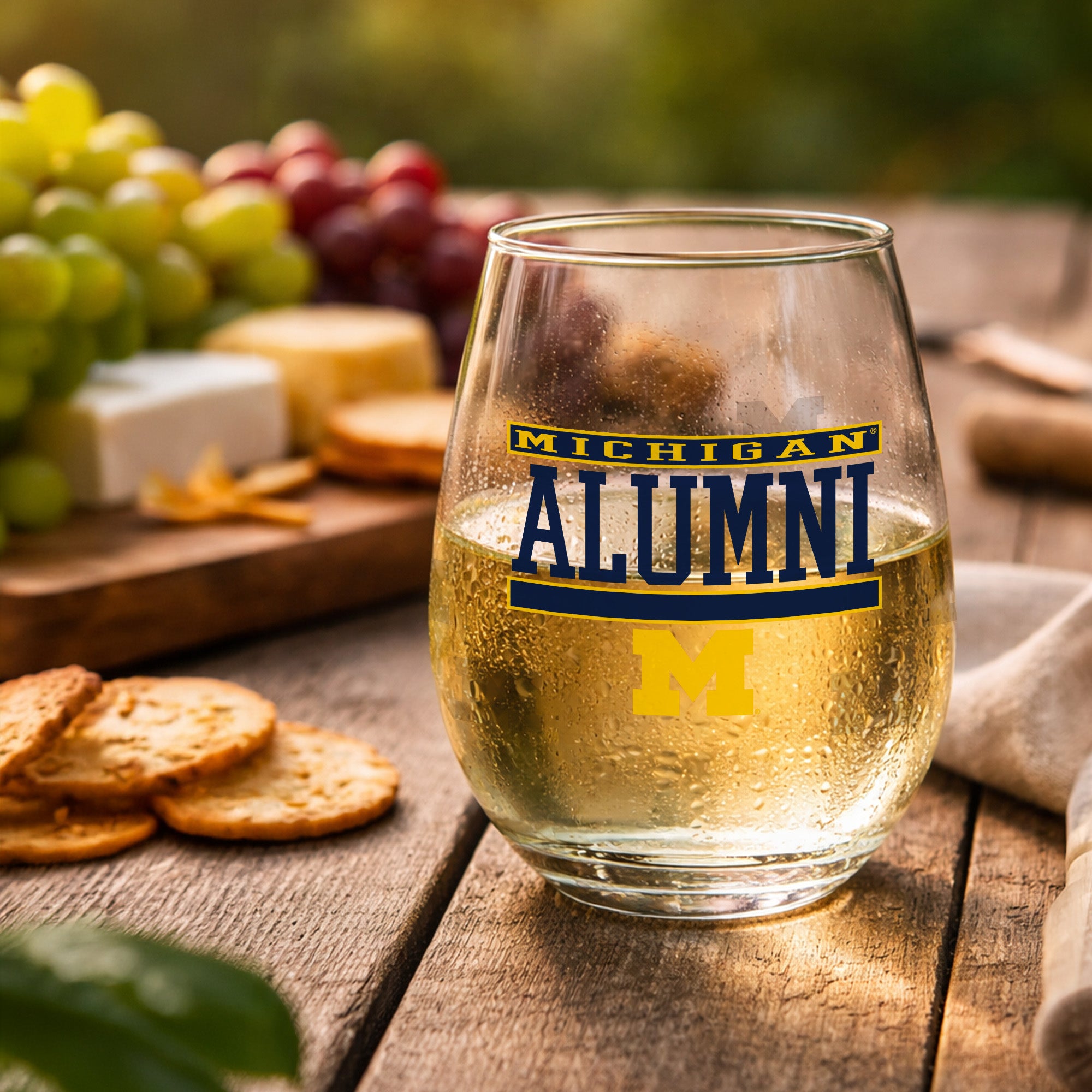 Set of 2 Michigan Wolverines Alumni 15oz Stemless
