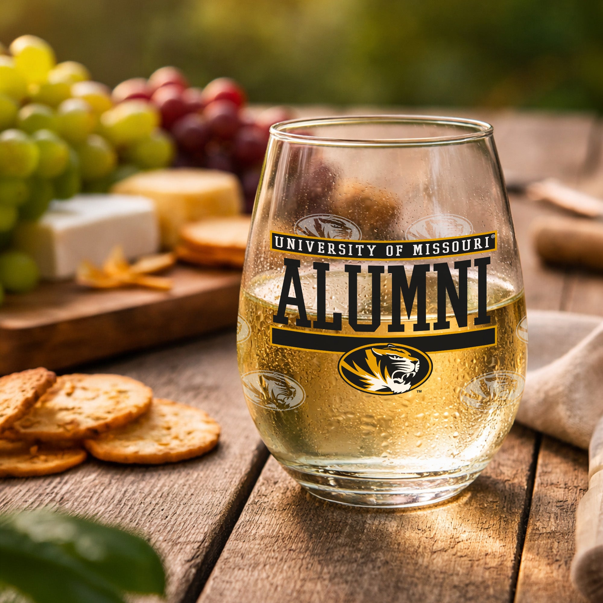 Set of 2 Missouri Tigers Alumni 15oz Stemless
